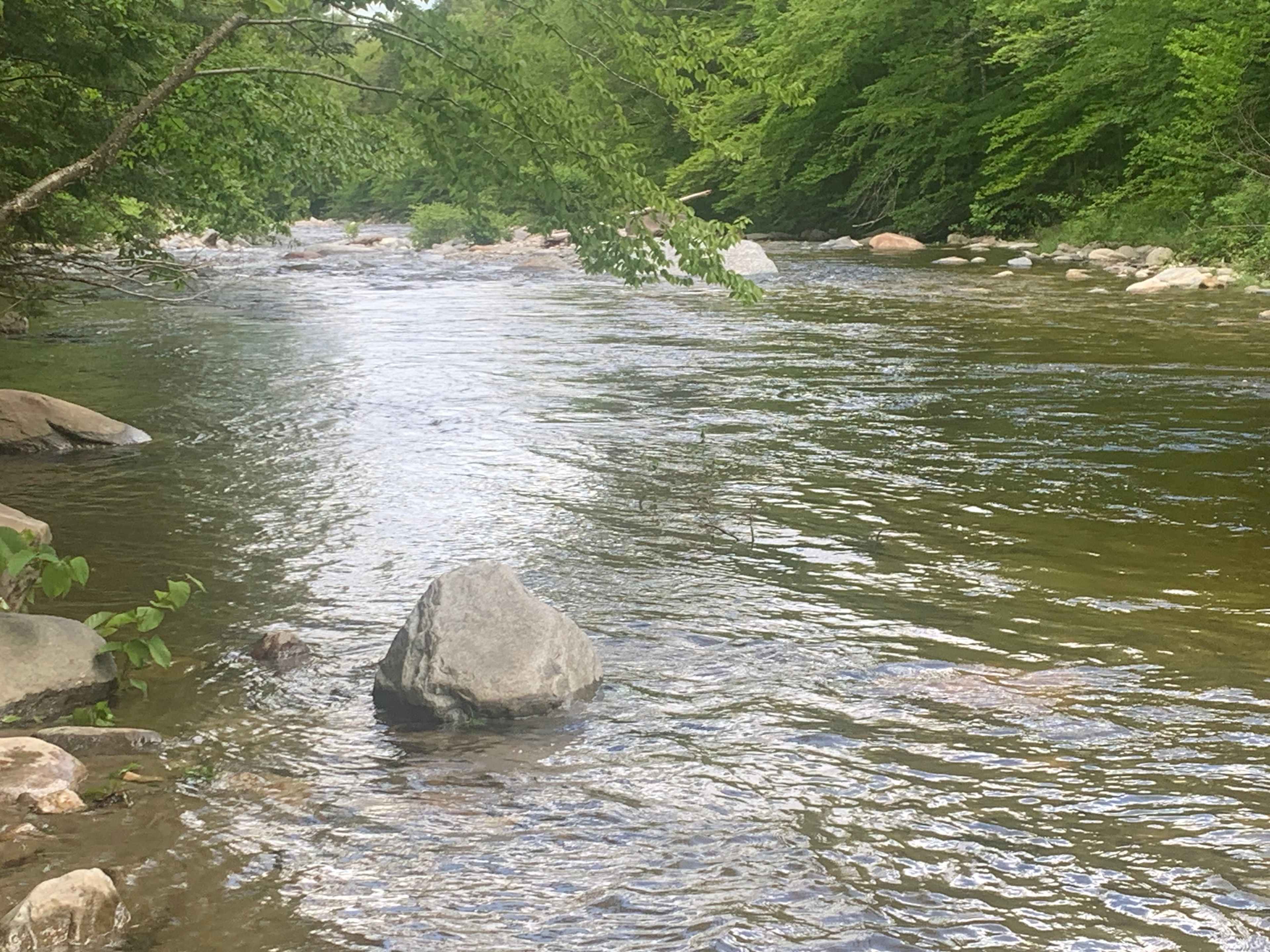 River Farm