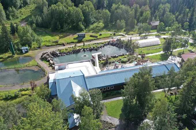 Chena Hot Springs Resort