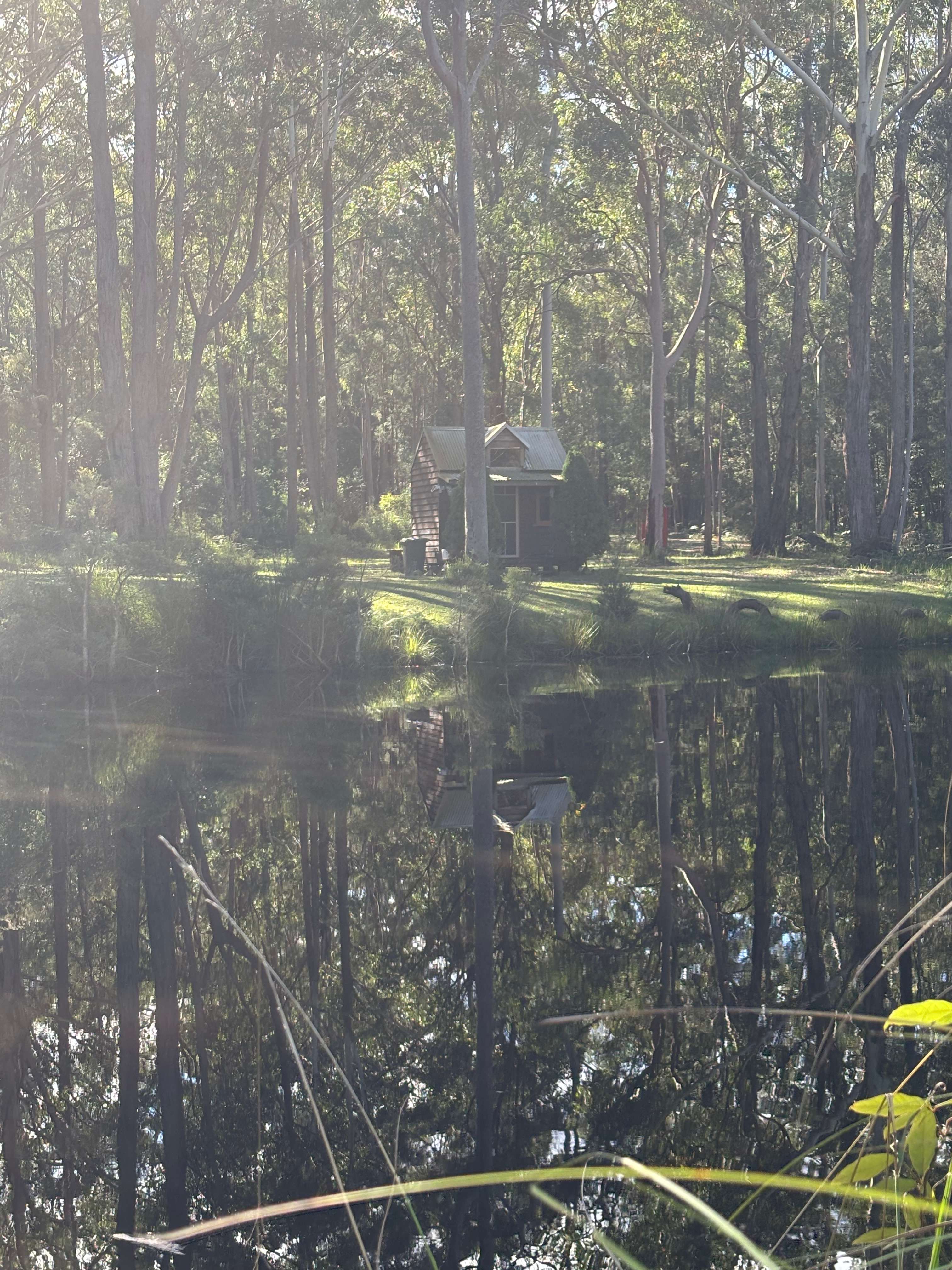 Mistinthegumtrees BUDGET 2 GLAMPING