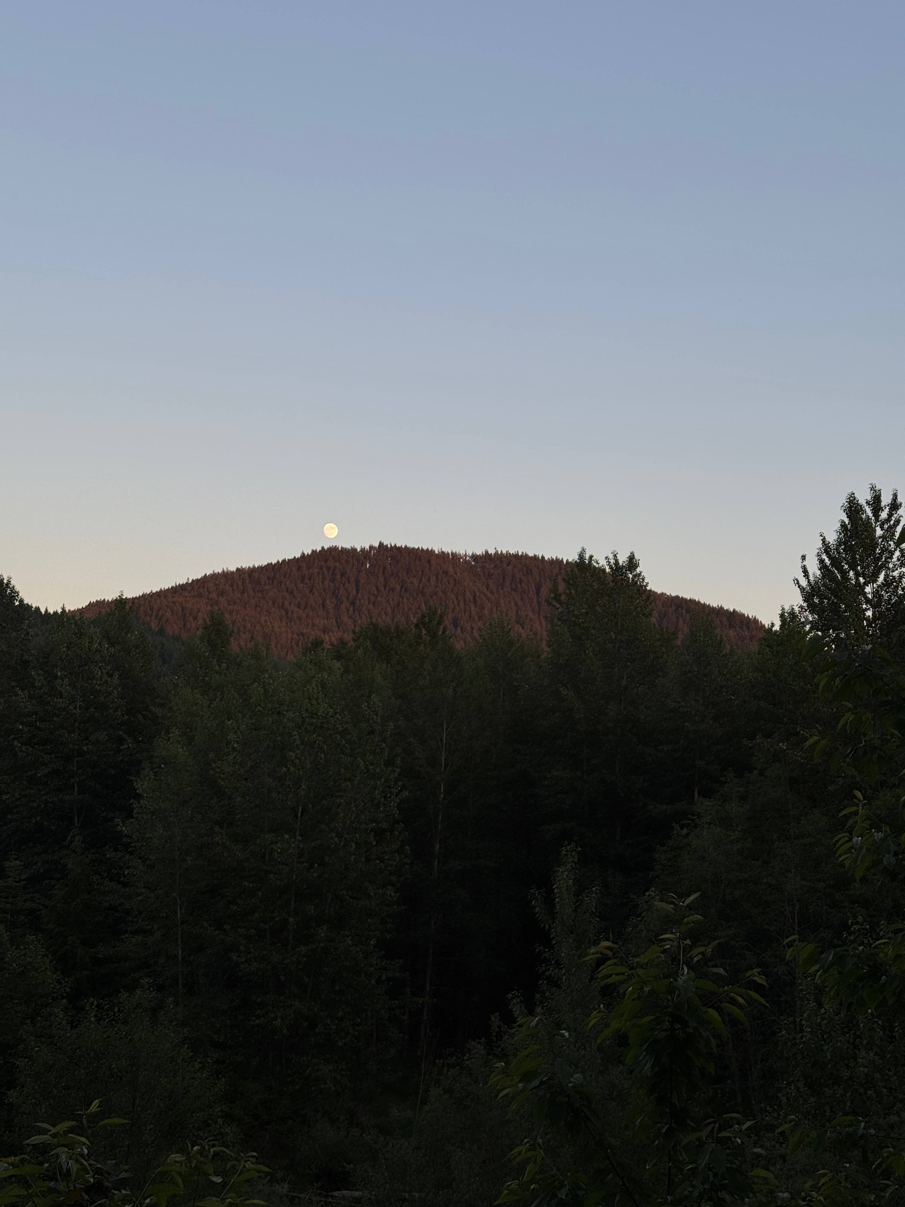 Riverside Camping Near Mt Rainier