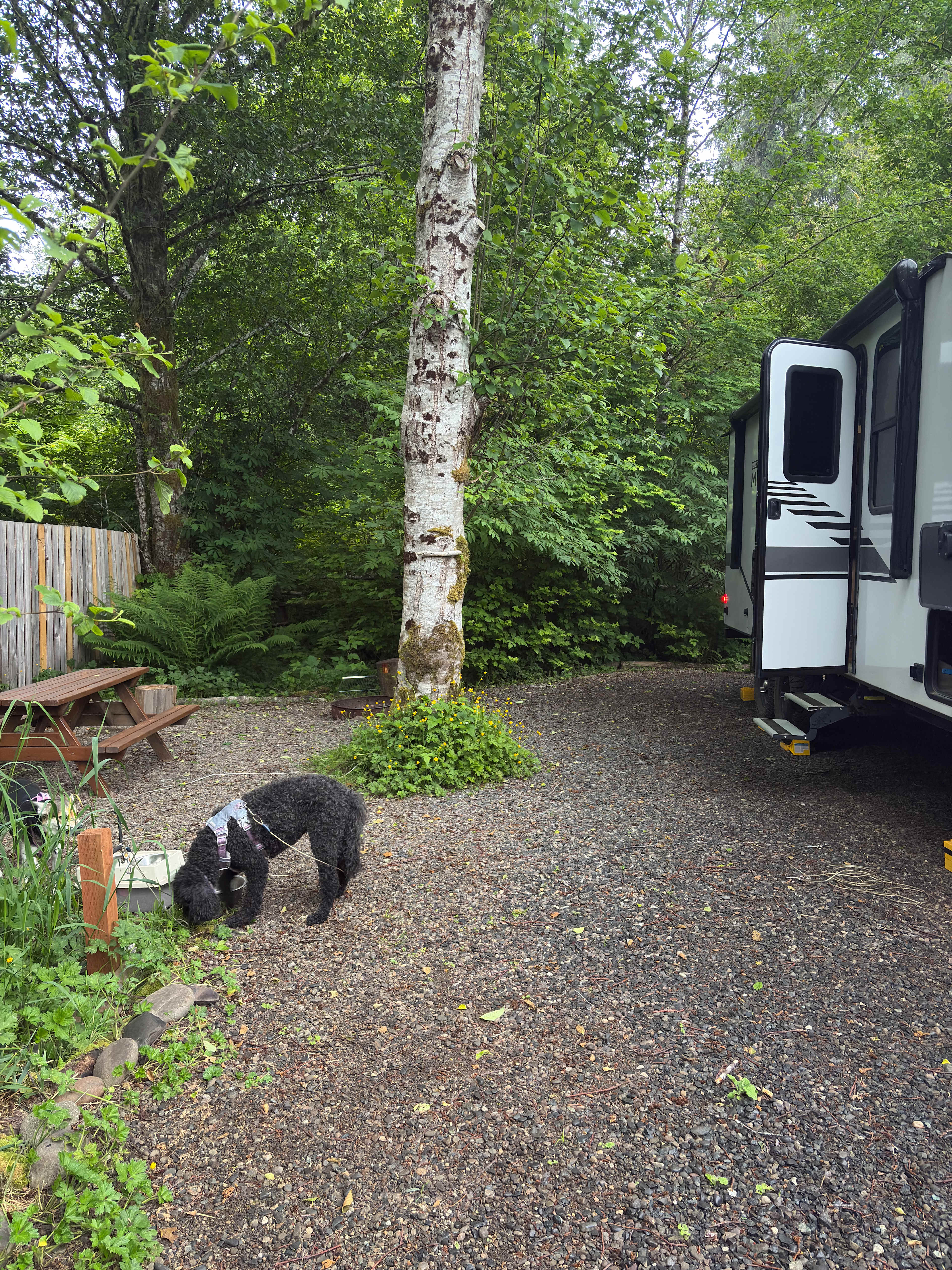 Shangri La Push