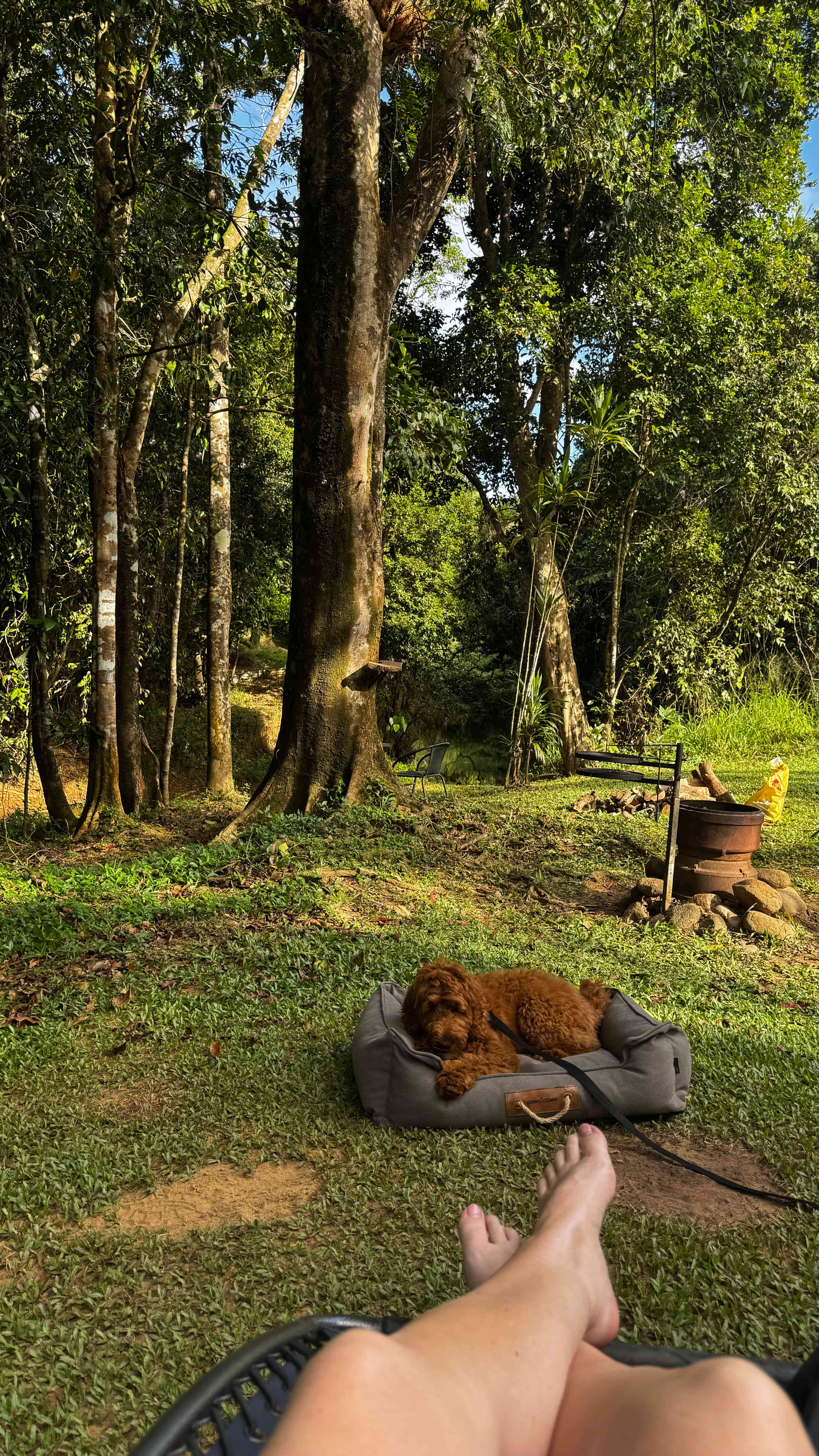 Tropical Woopen Creek Camping