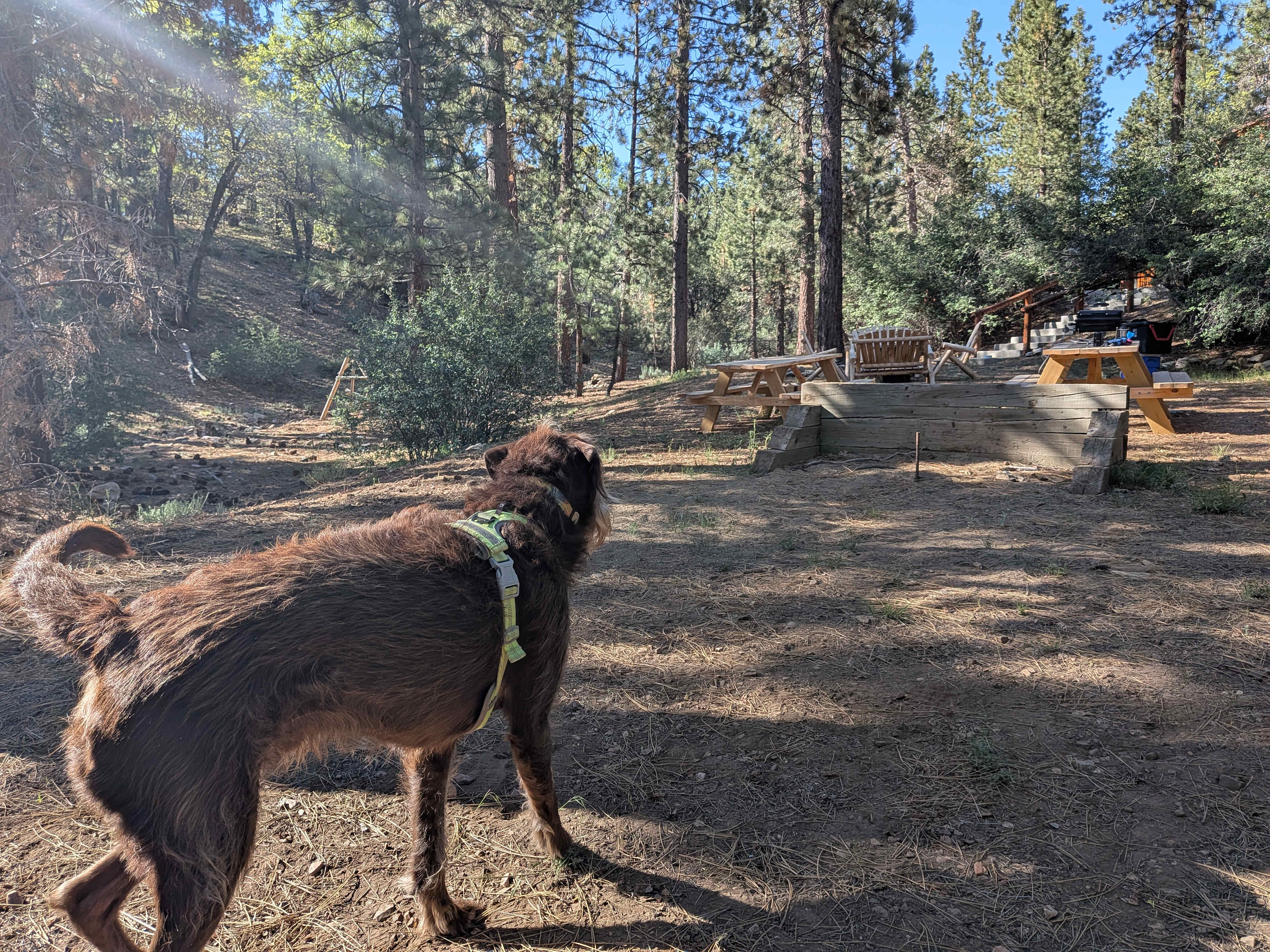 Bear Hollow Camp Site