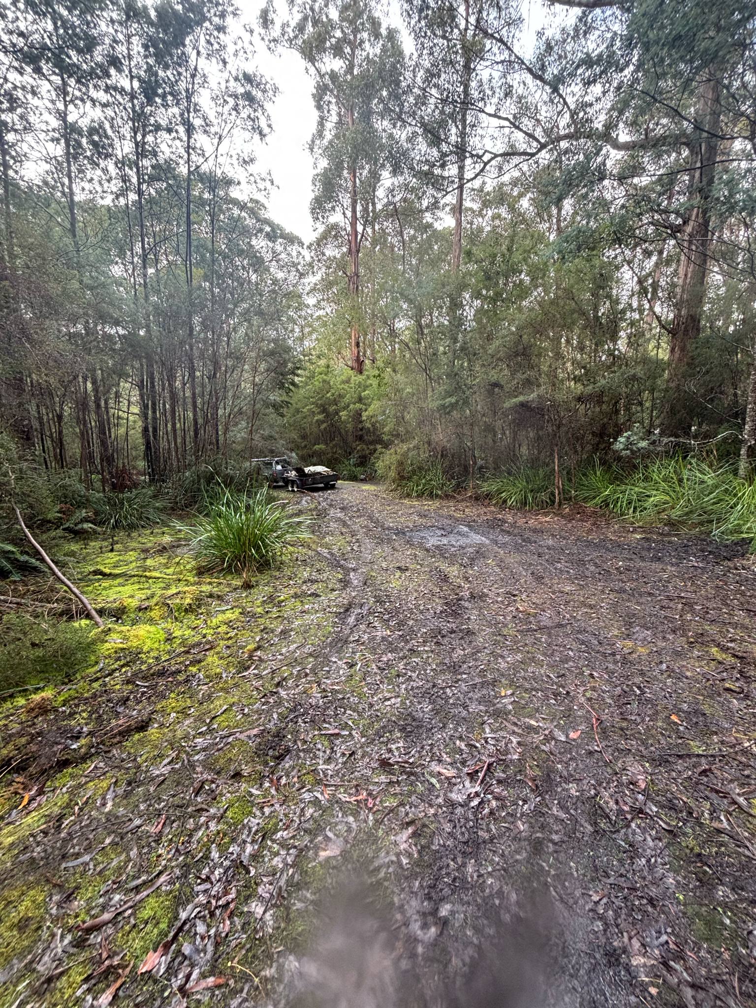 Large area suited for camper trailers, vans, tents or swags.  Not suitable for large caravans.