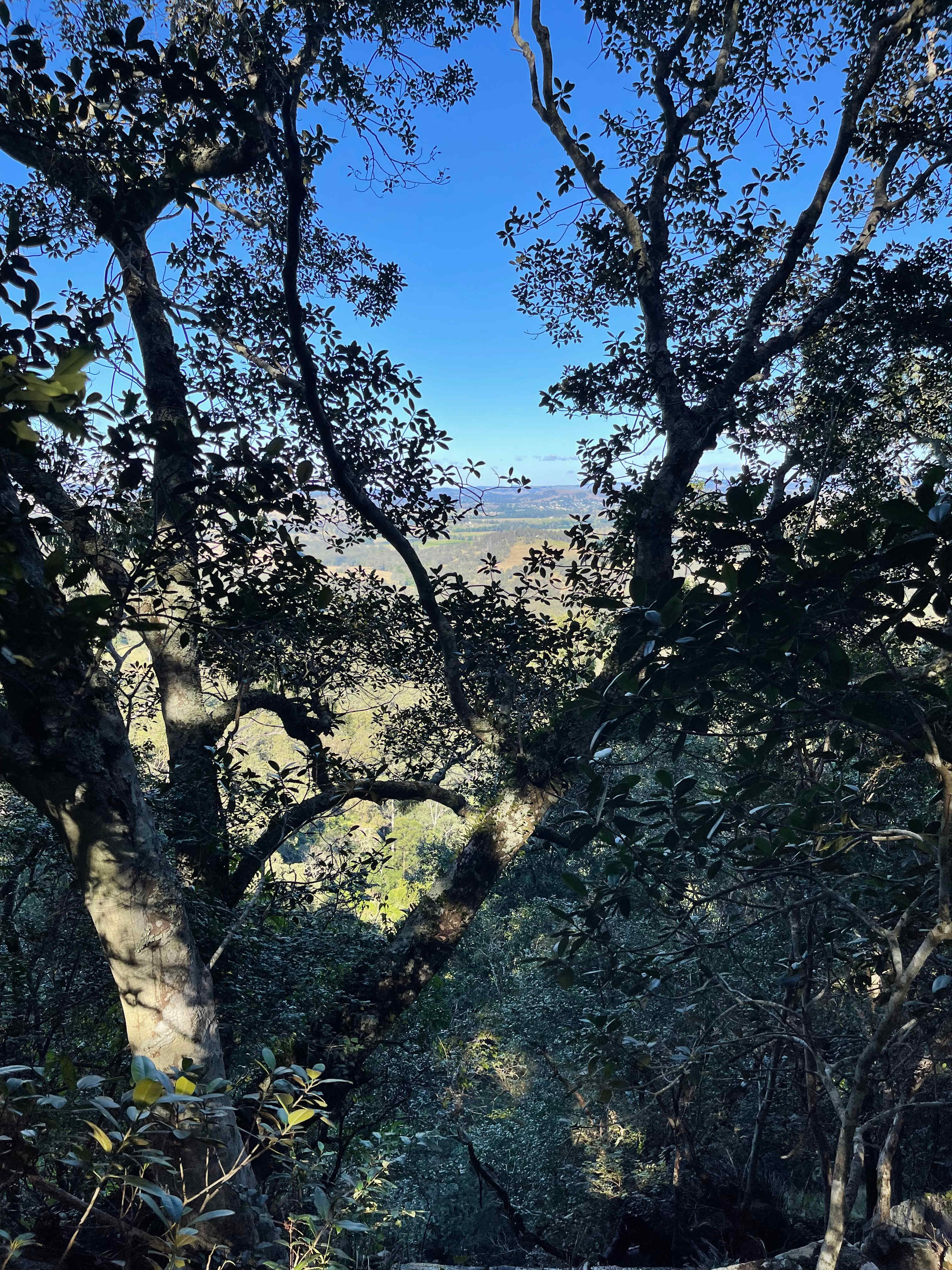 Bonneydoon