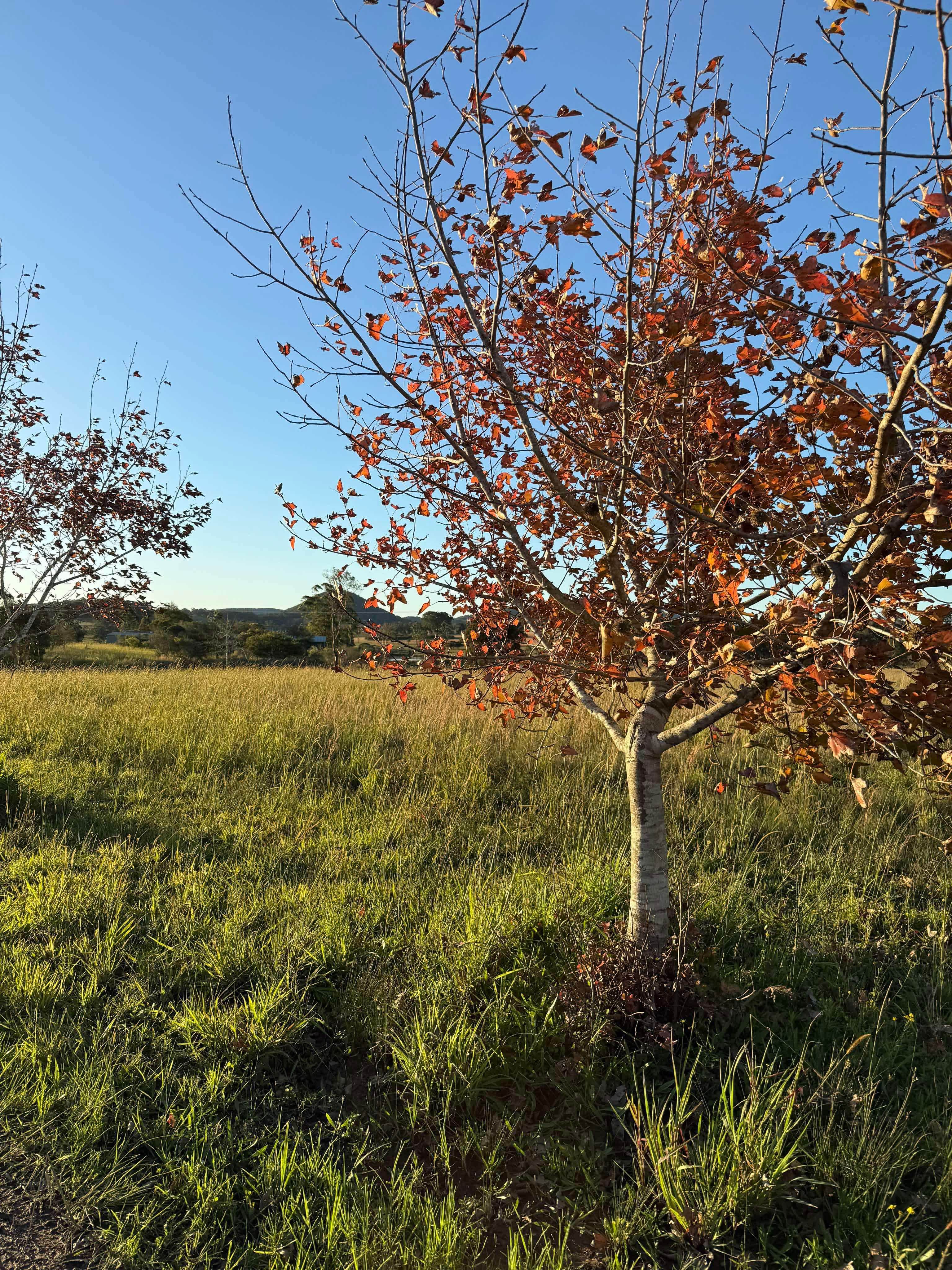 The Branch River Retreat