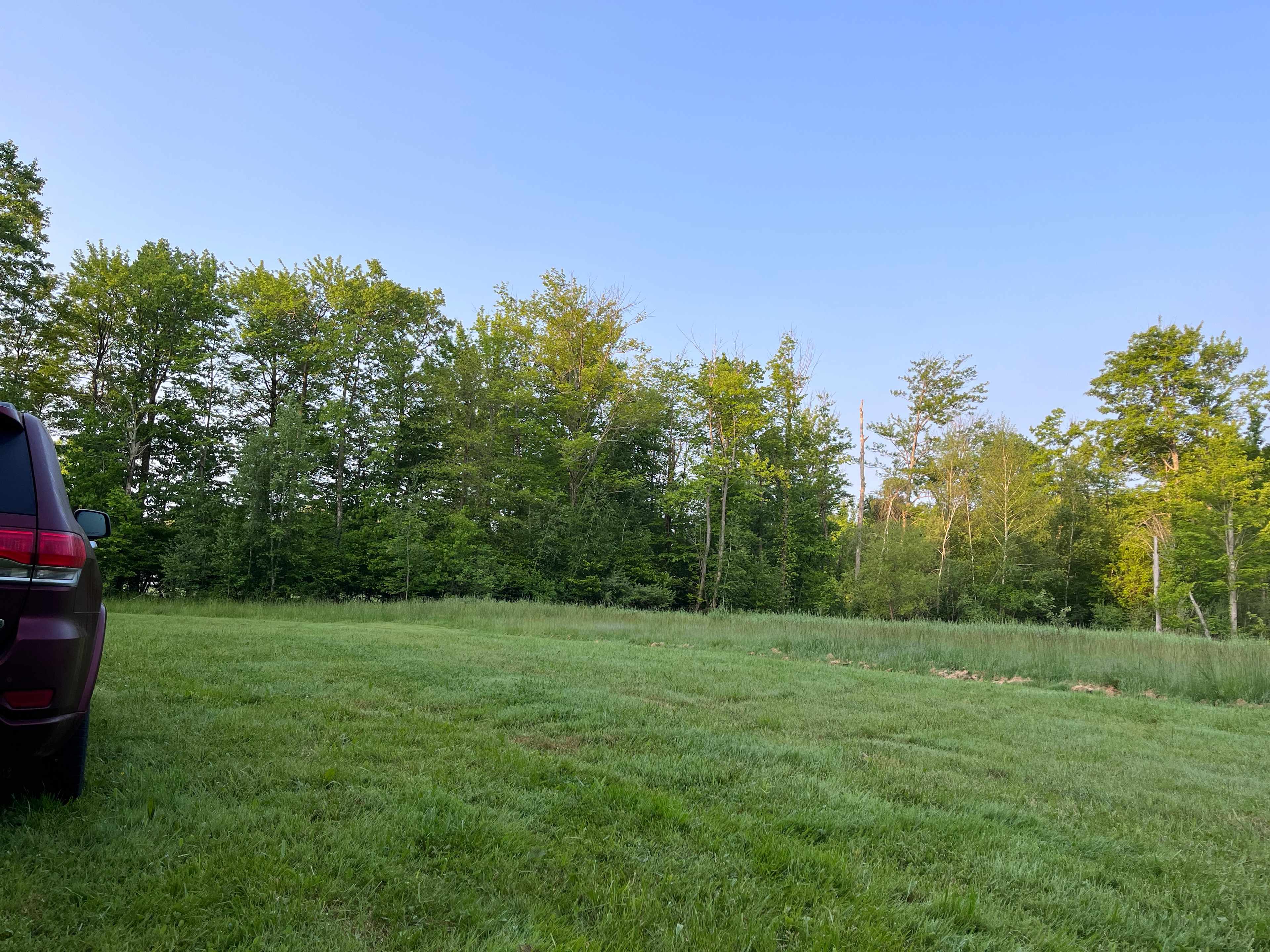 Nice clearing to set up your rig - deer passed through the property that very evening!