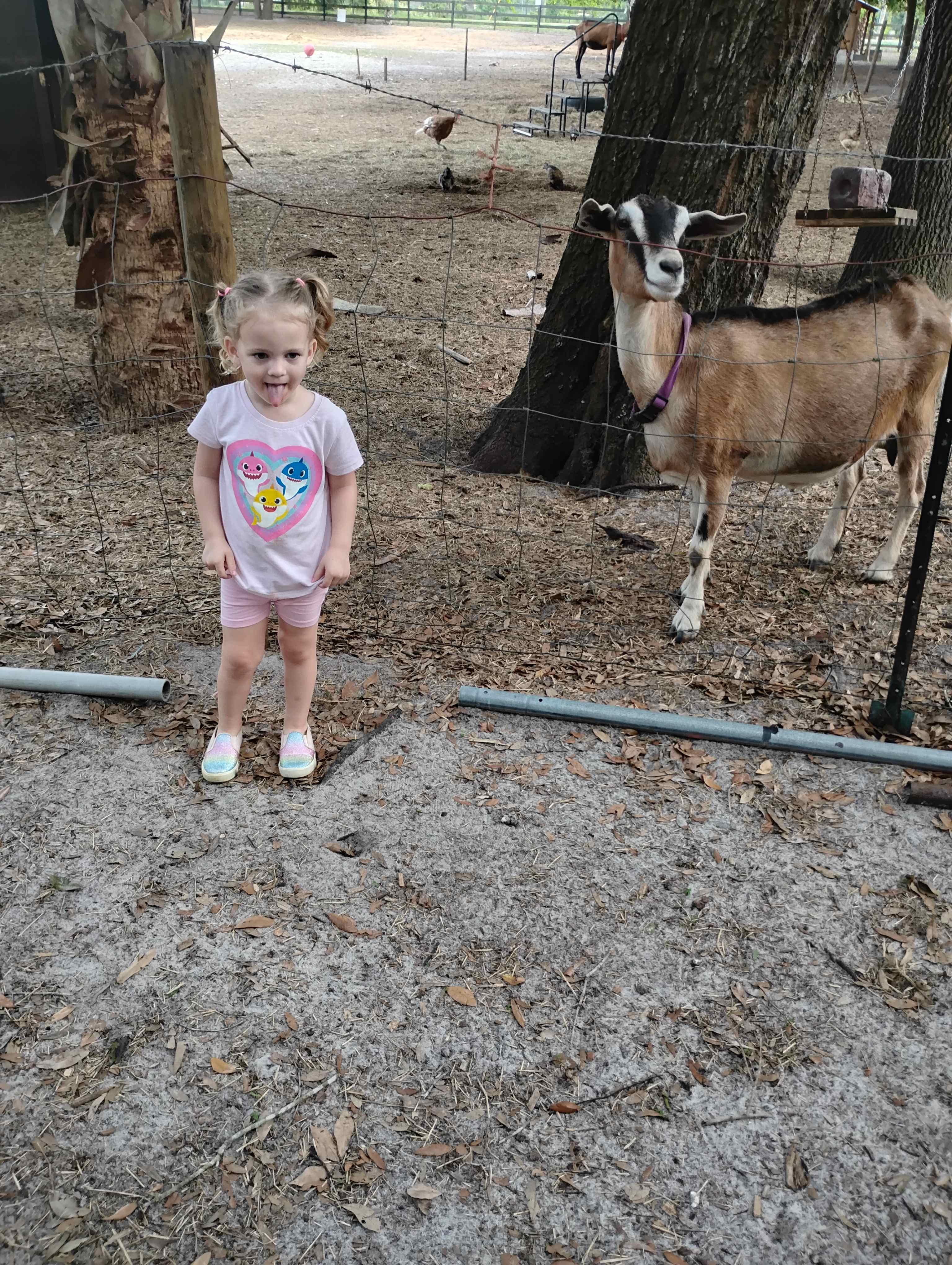 True Trail Farm
