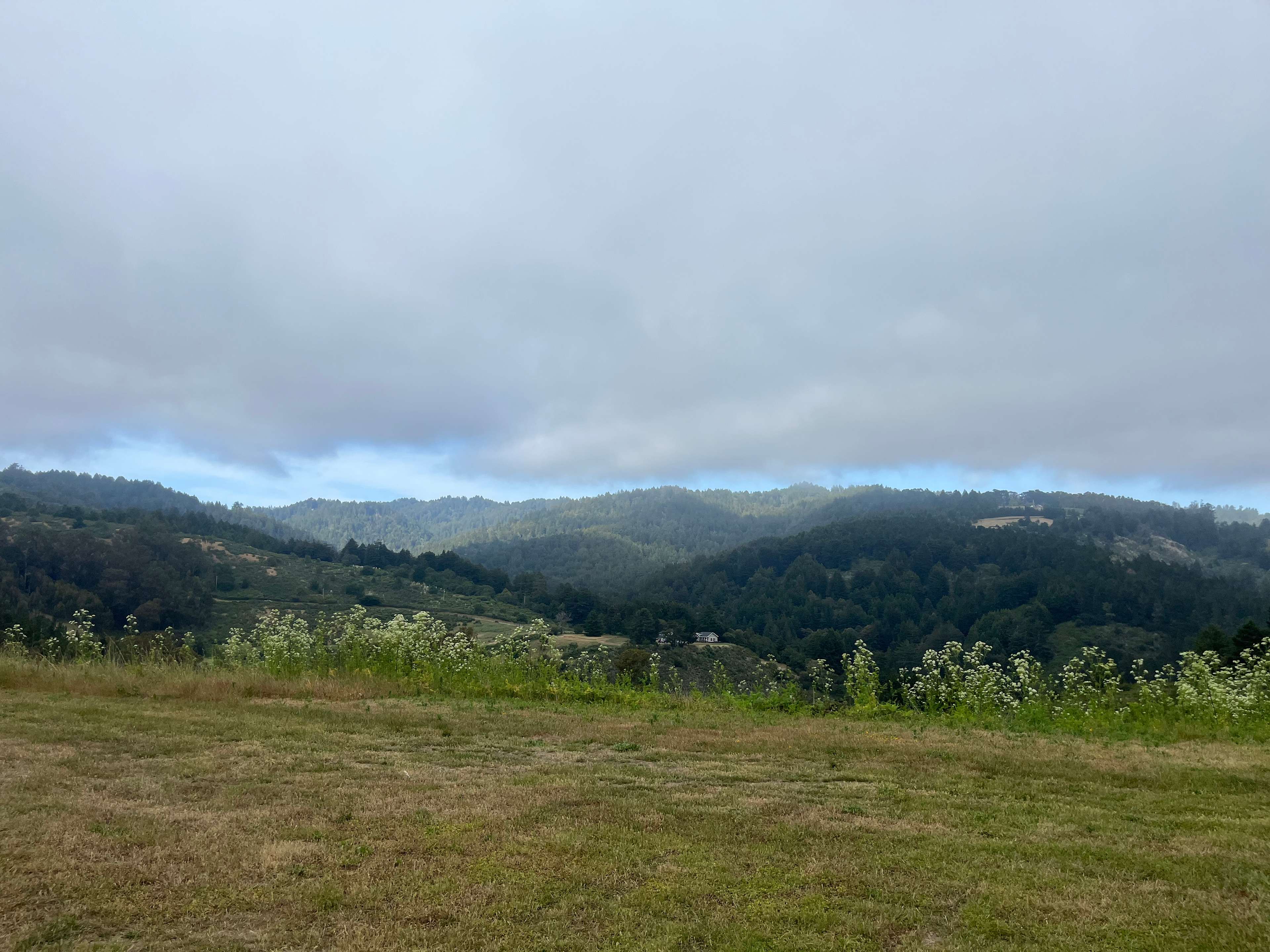 Lobitos Creek
