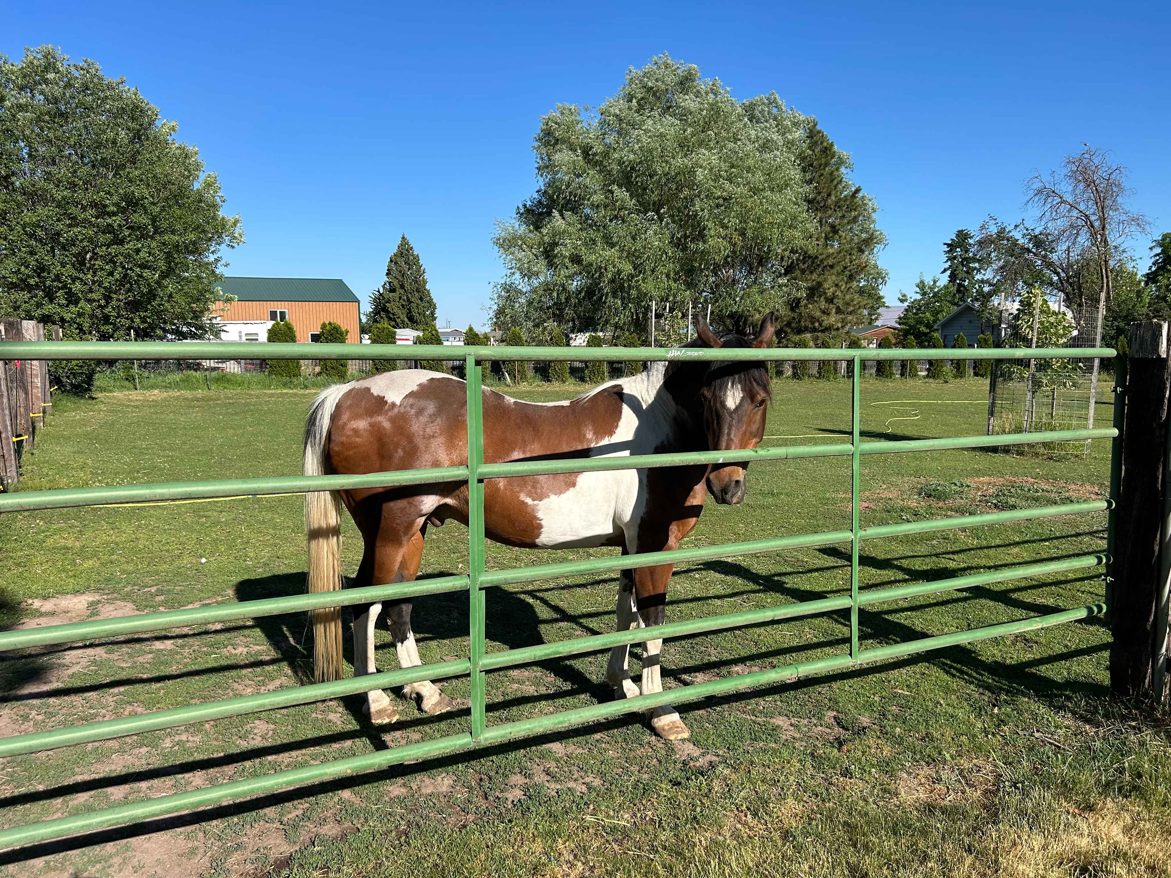 Triple H Ranch