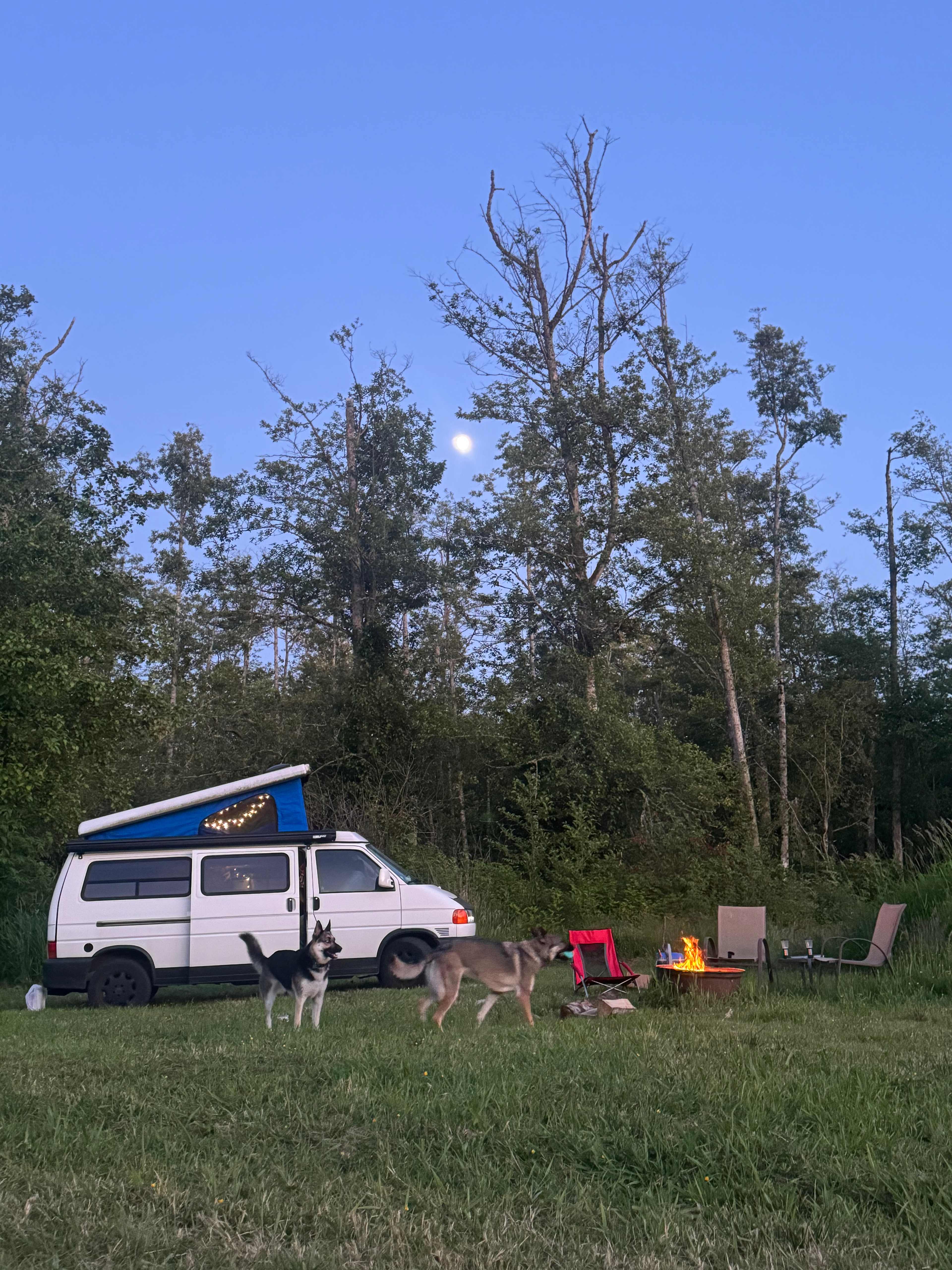 Happy Frog Springs/Hobson Meadows