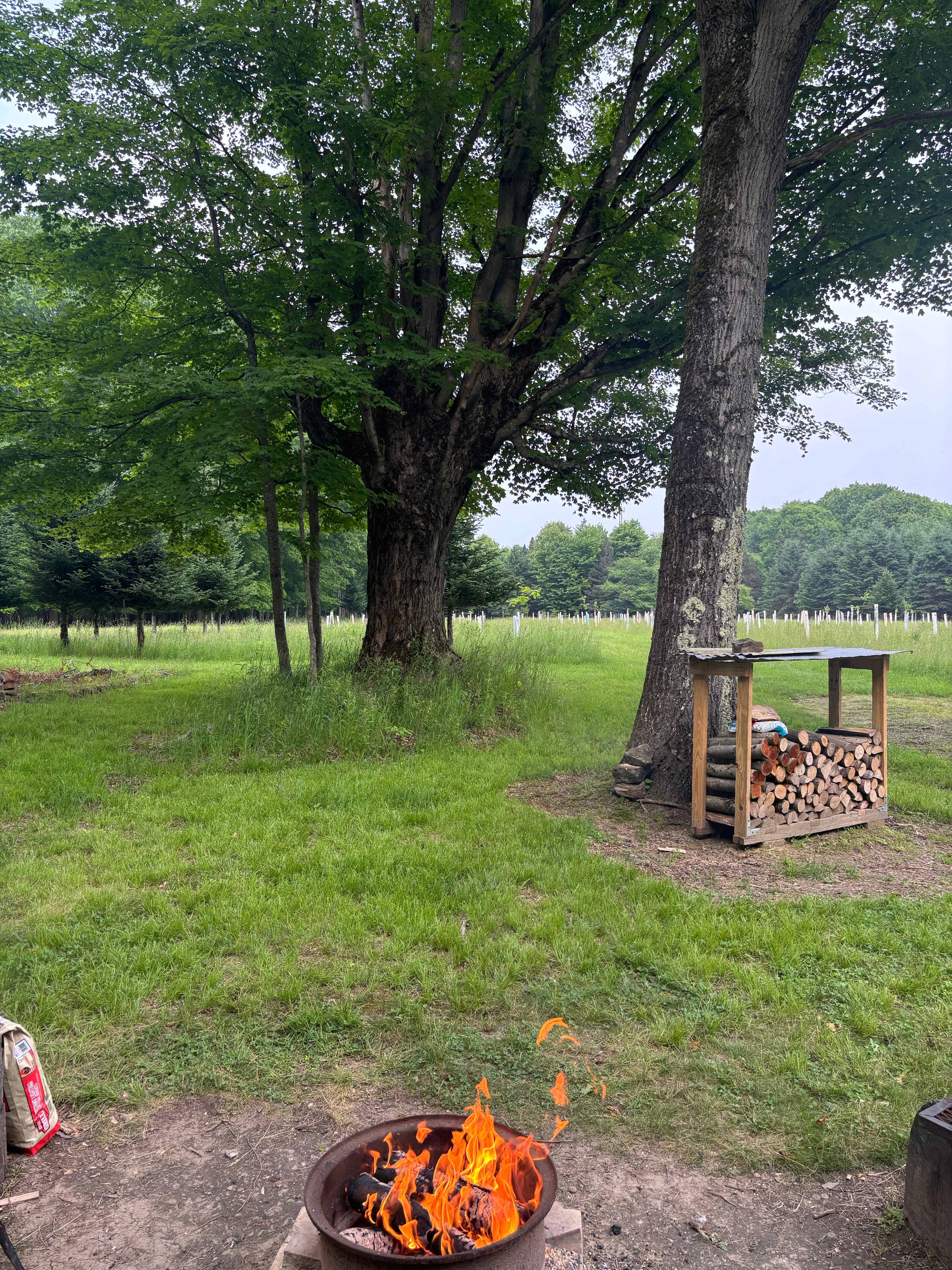 Chappel Hill Tree Farm