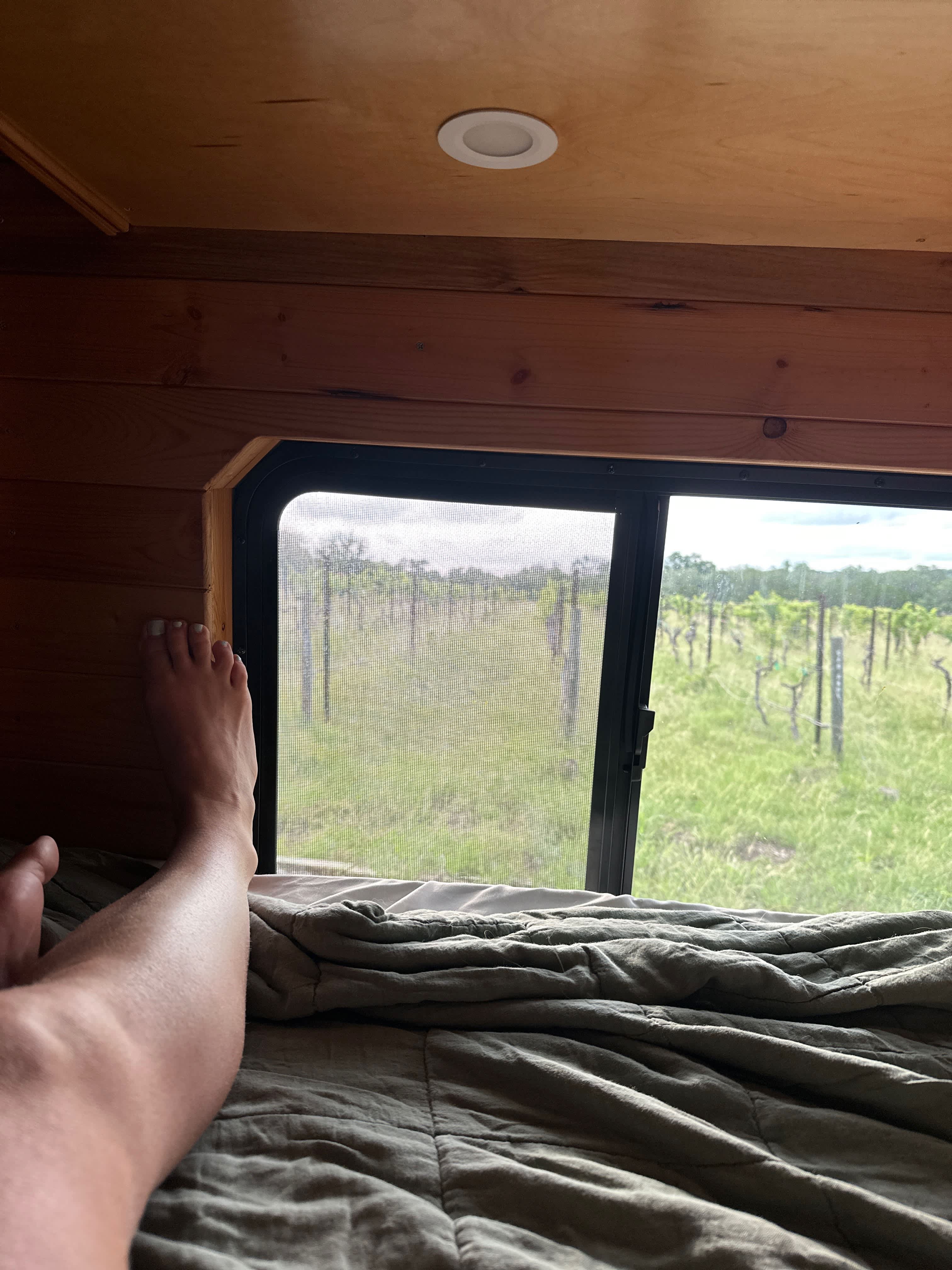 Hamilton Pool Vineyards & Farms