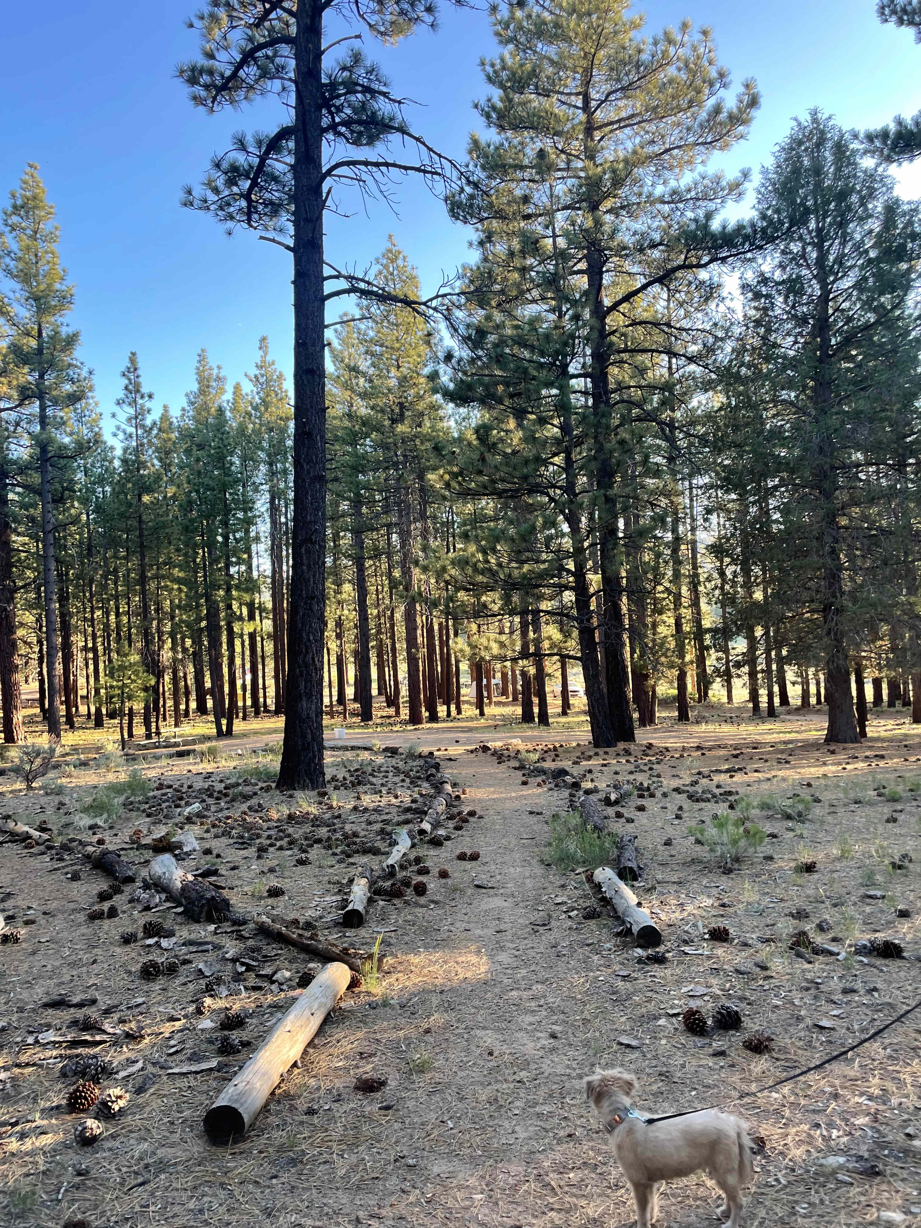 Holcomb Valley Ranch