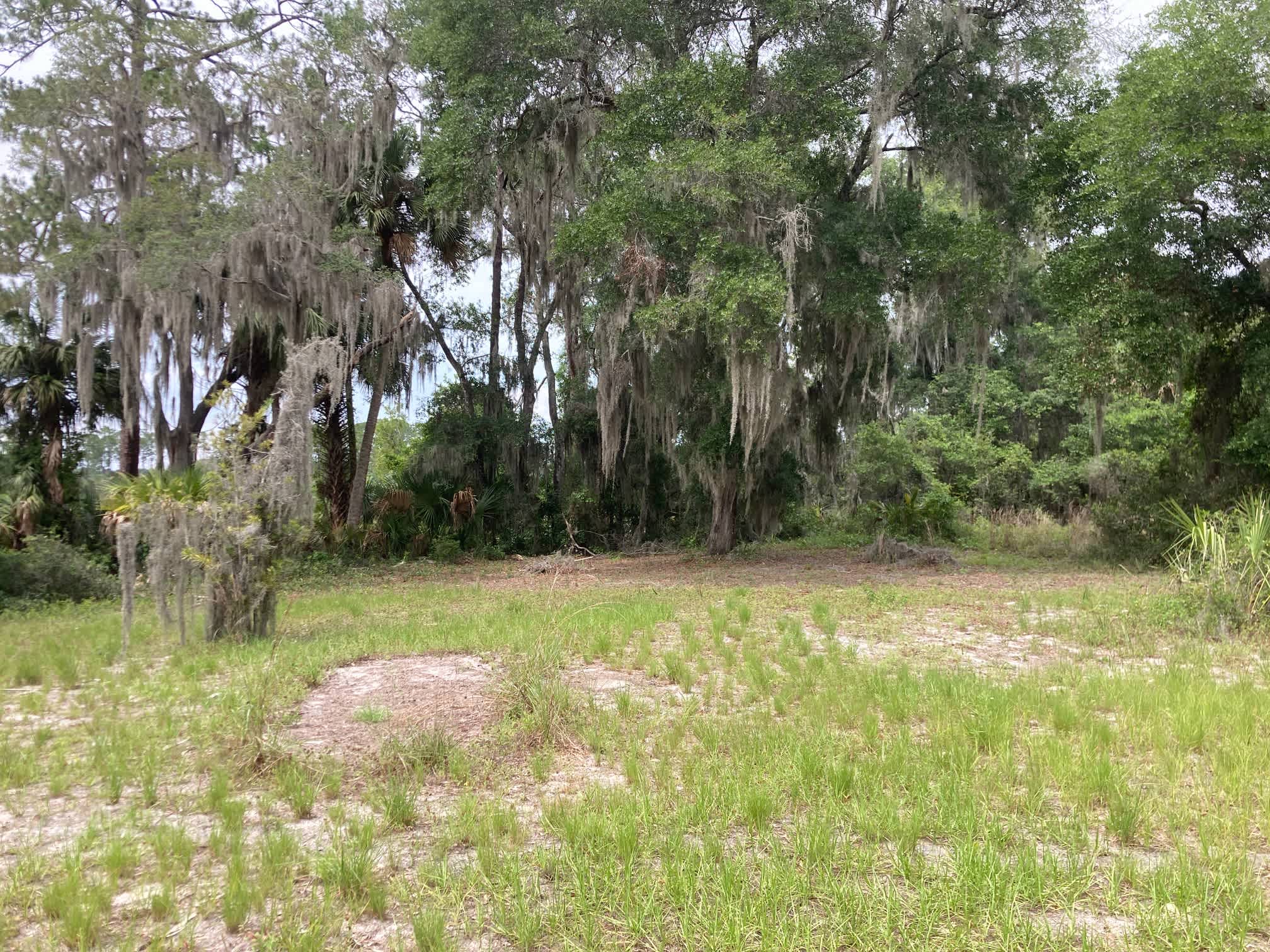 Robbins Lodge