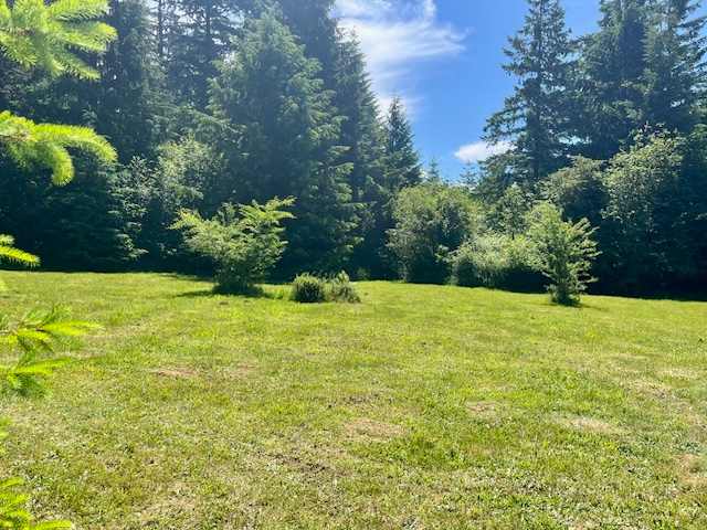 From the tipi, this is your view to the south east, toward the forest and trails that circle the property.