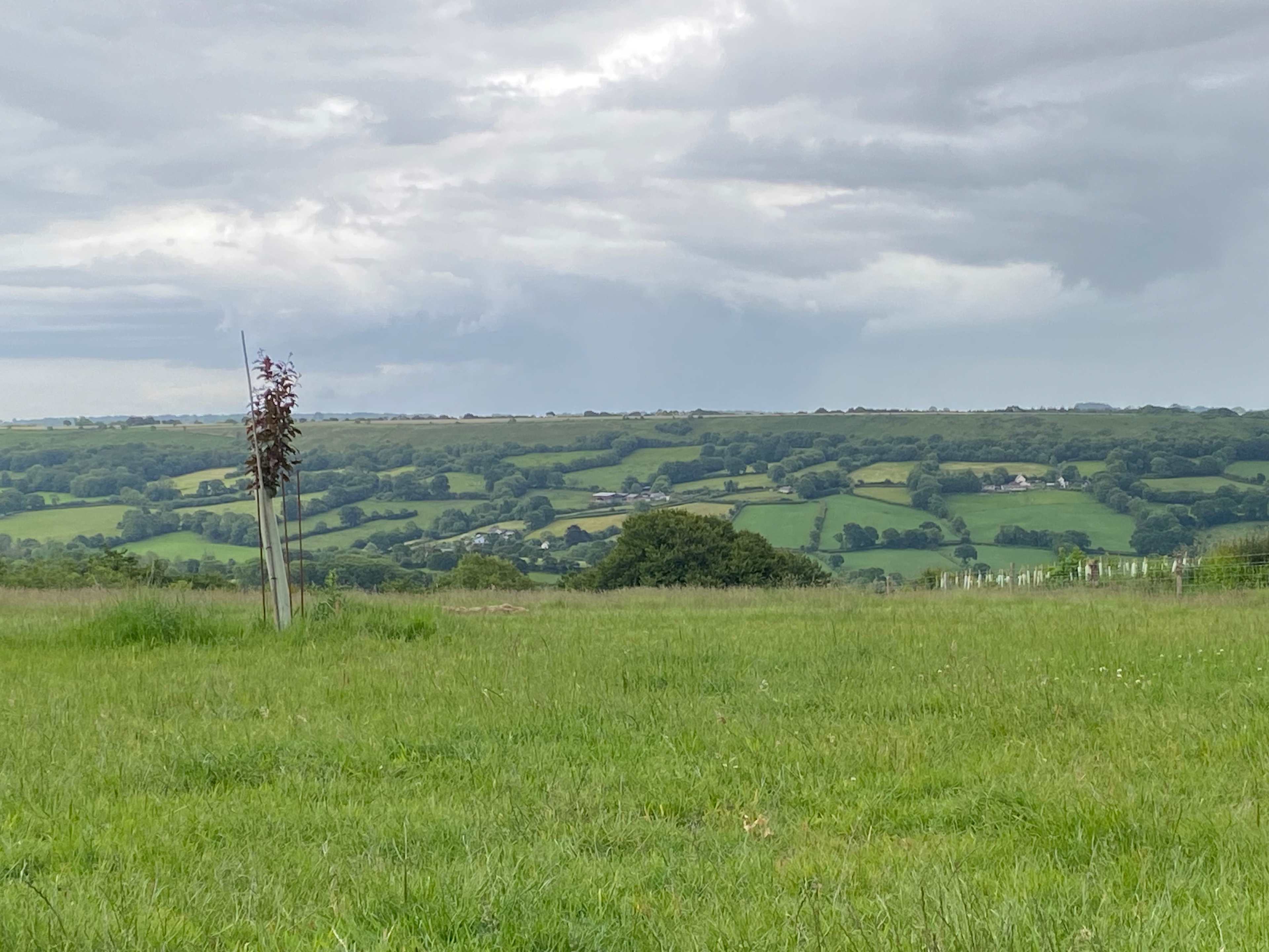 Farm camping in the Blackdown Hills