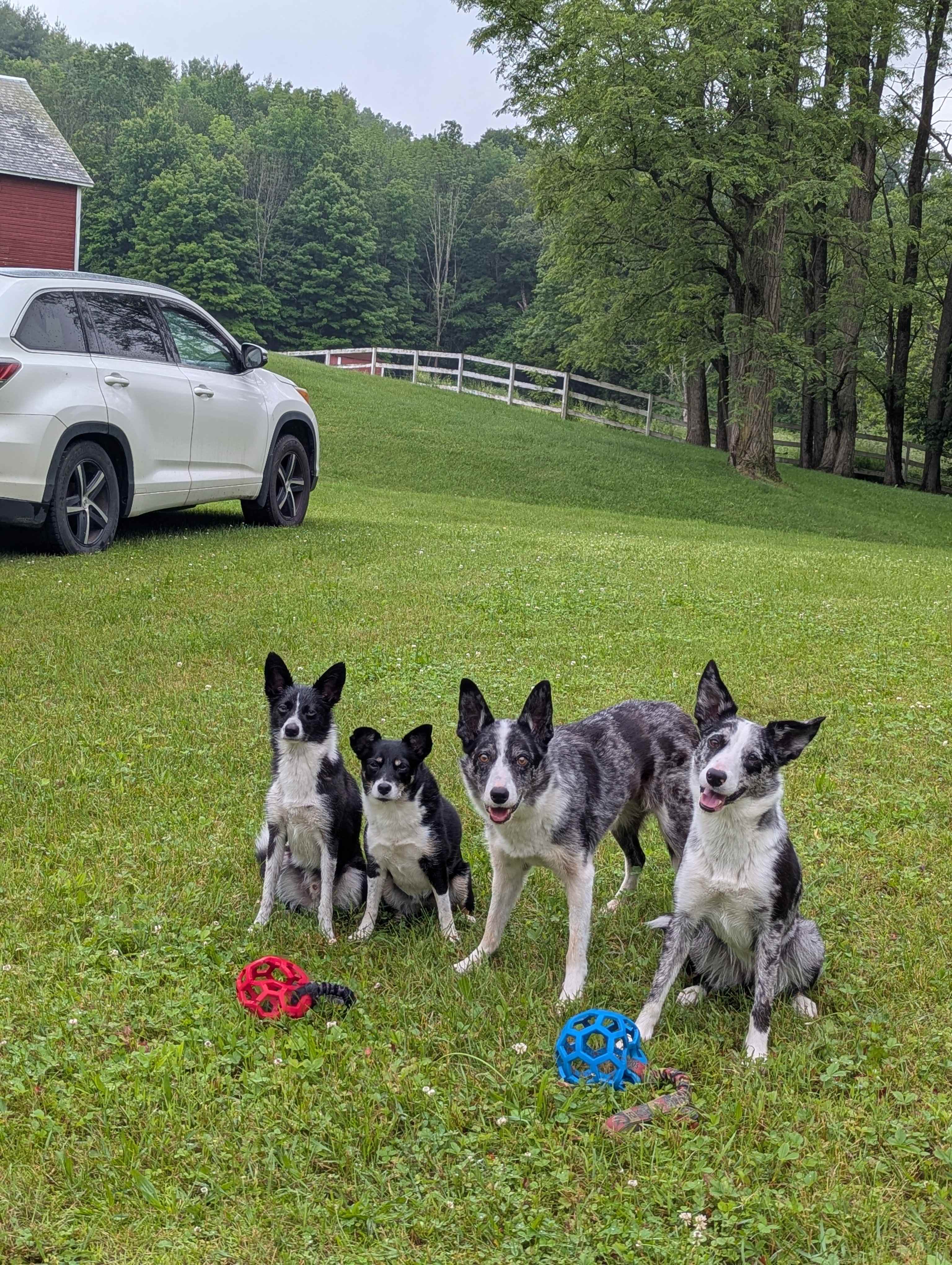 Sweet Spring Farm RV Site