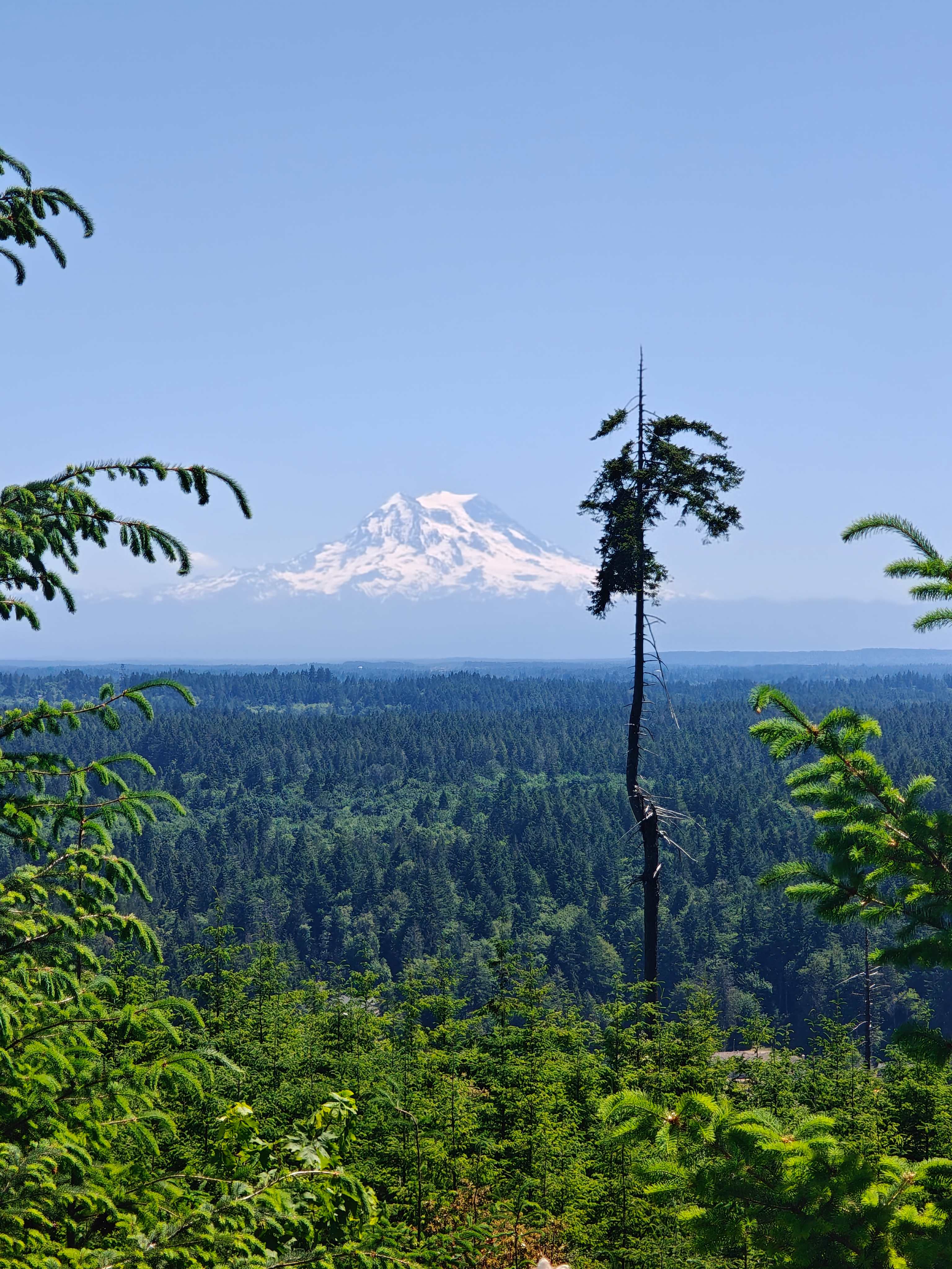 Hairy Eagle Lookout 🦅