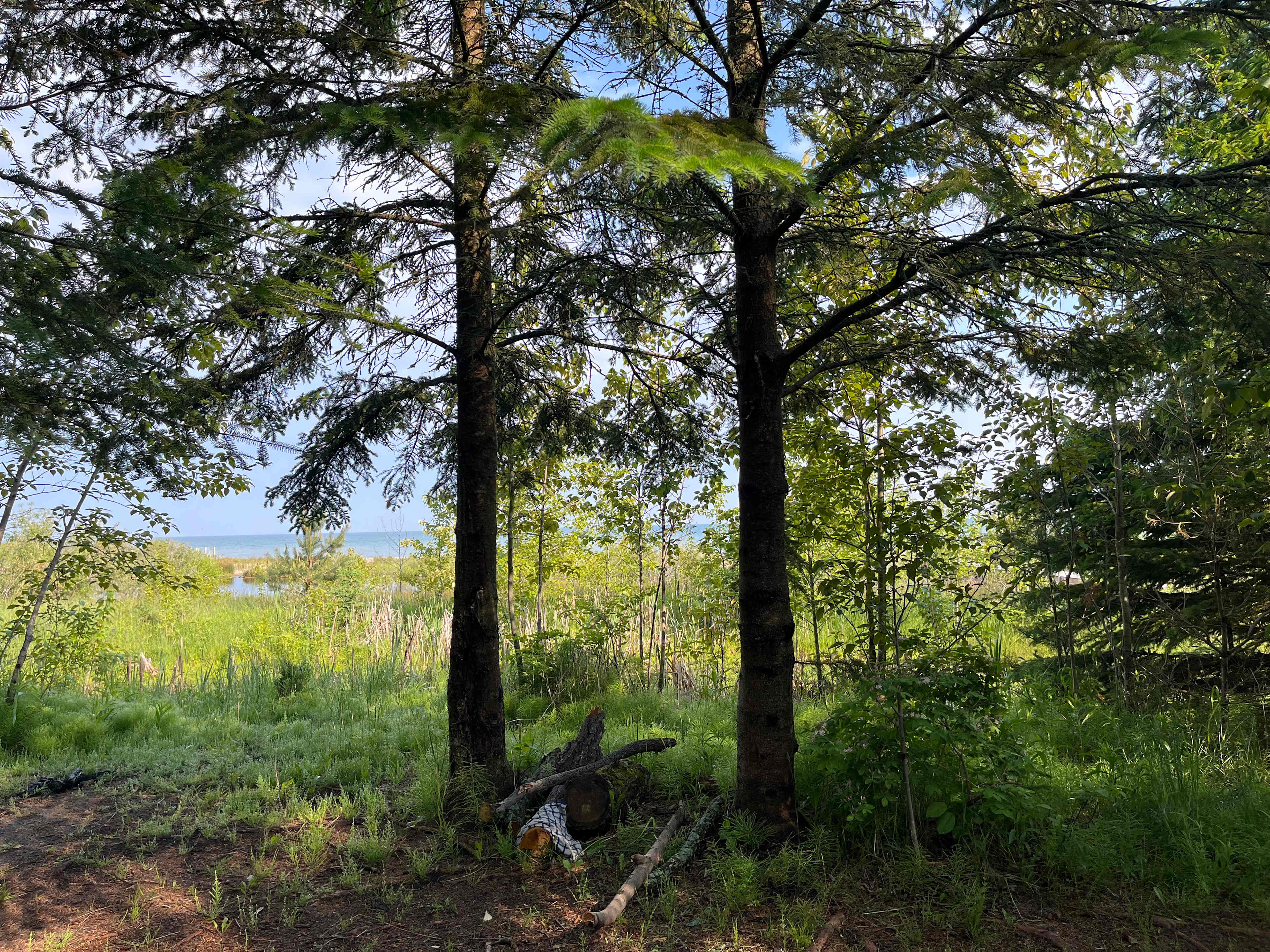 Million $ Sunset Camp