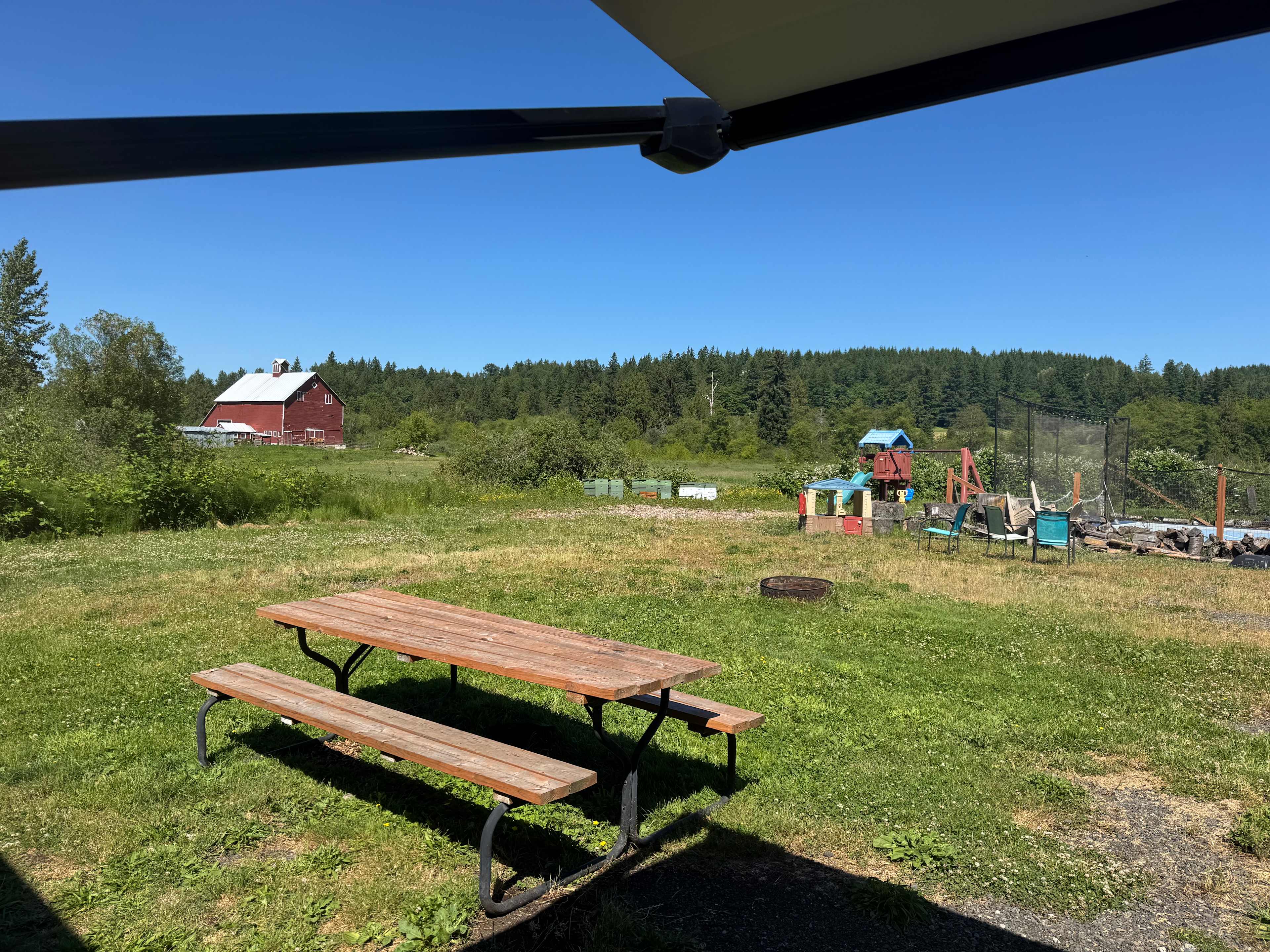 Dandelion Fuzzies Minifarm