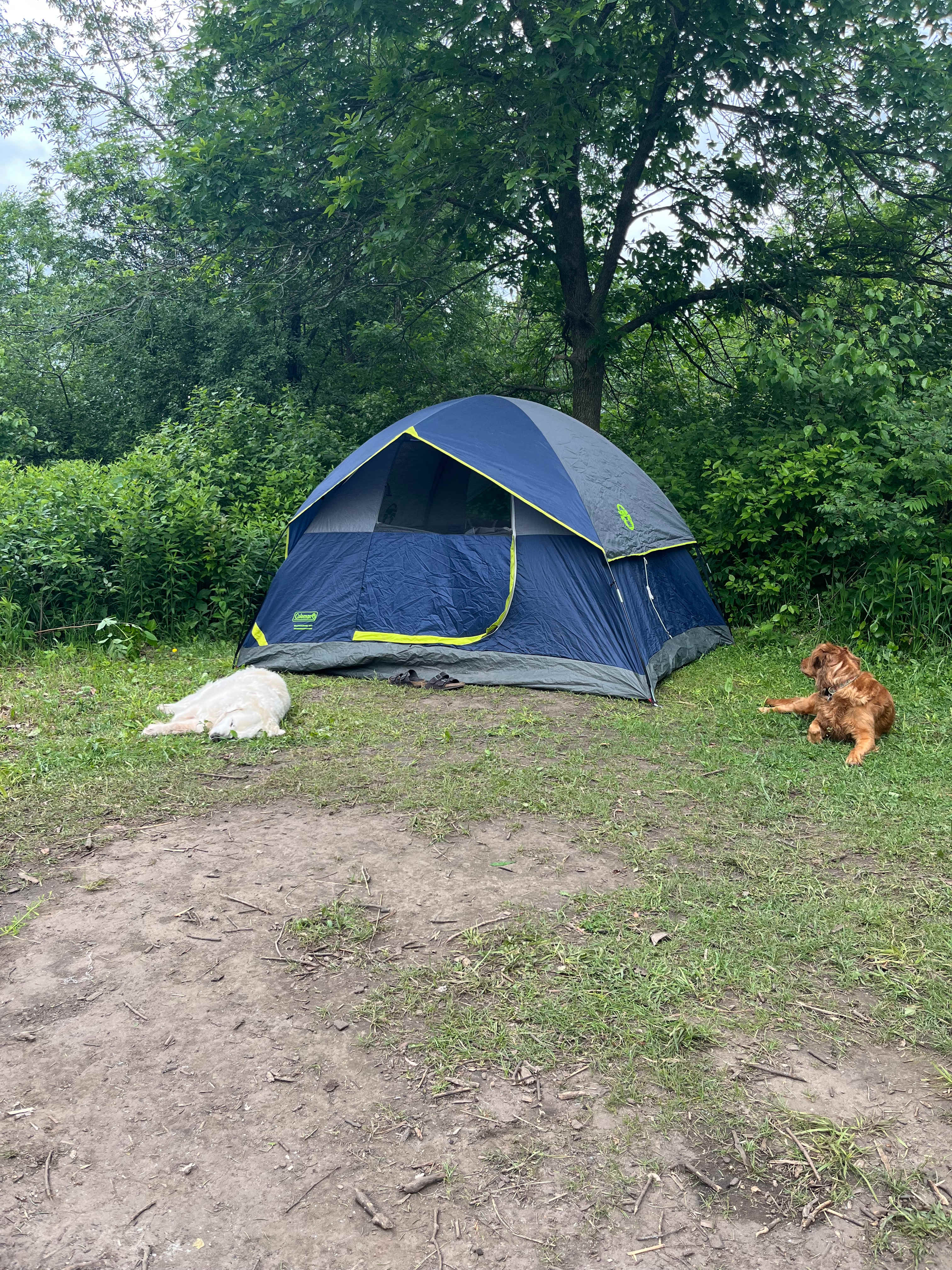 Prairie Creek Campground