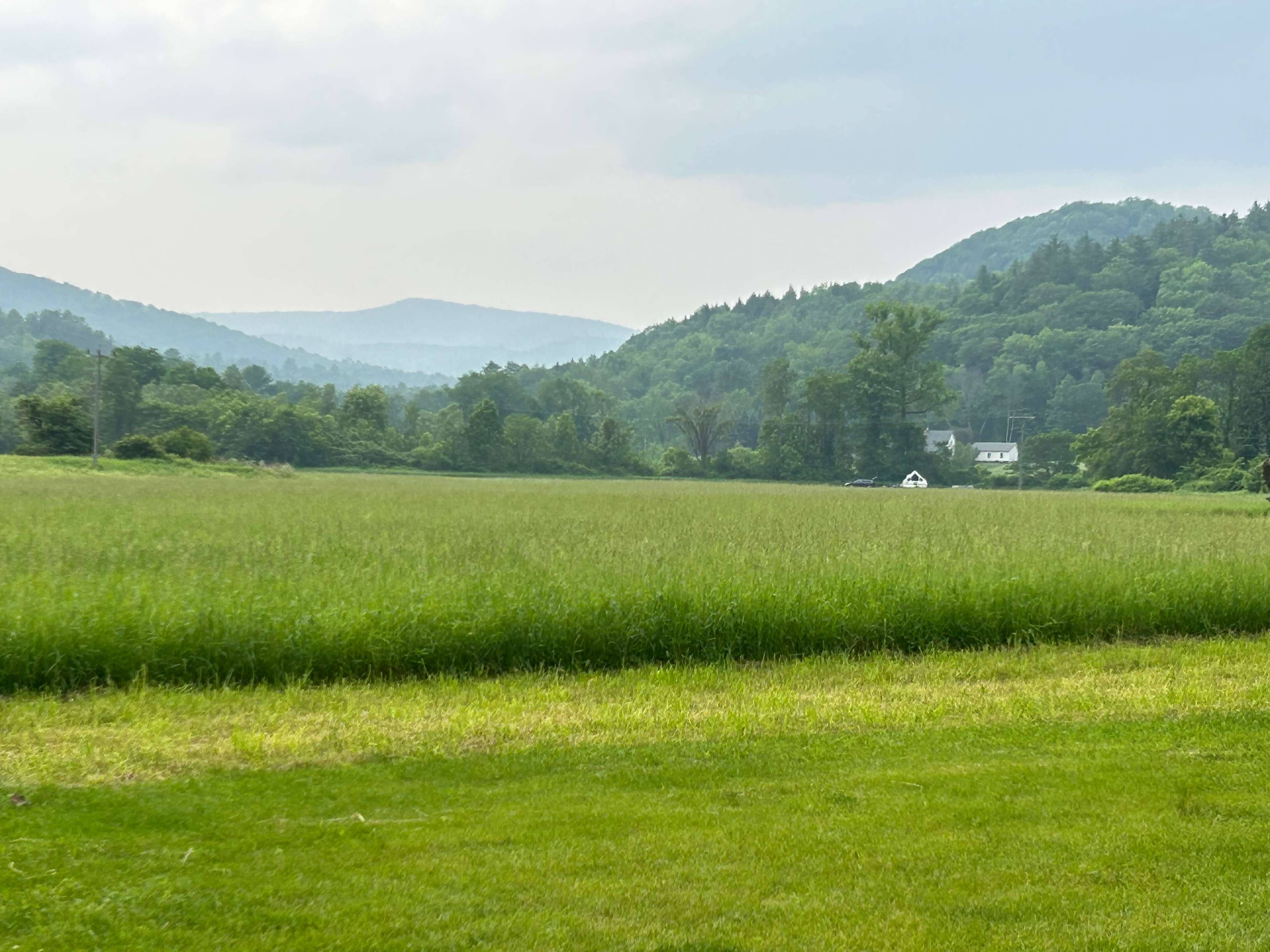 Greenbush Farm