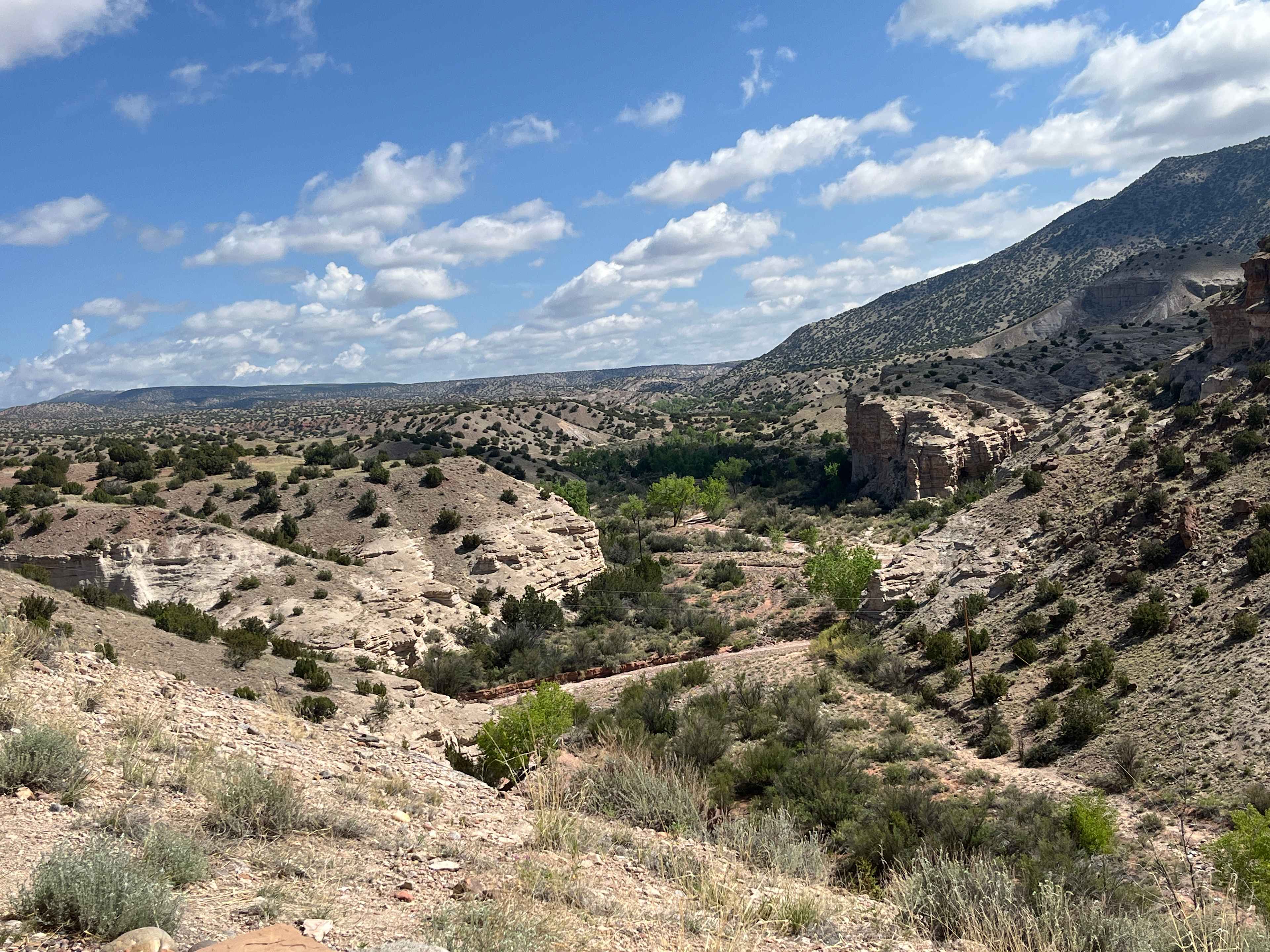 View looking north into the arroyo