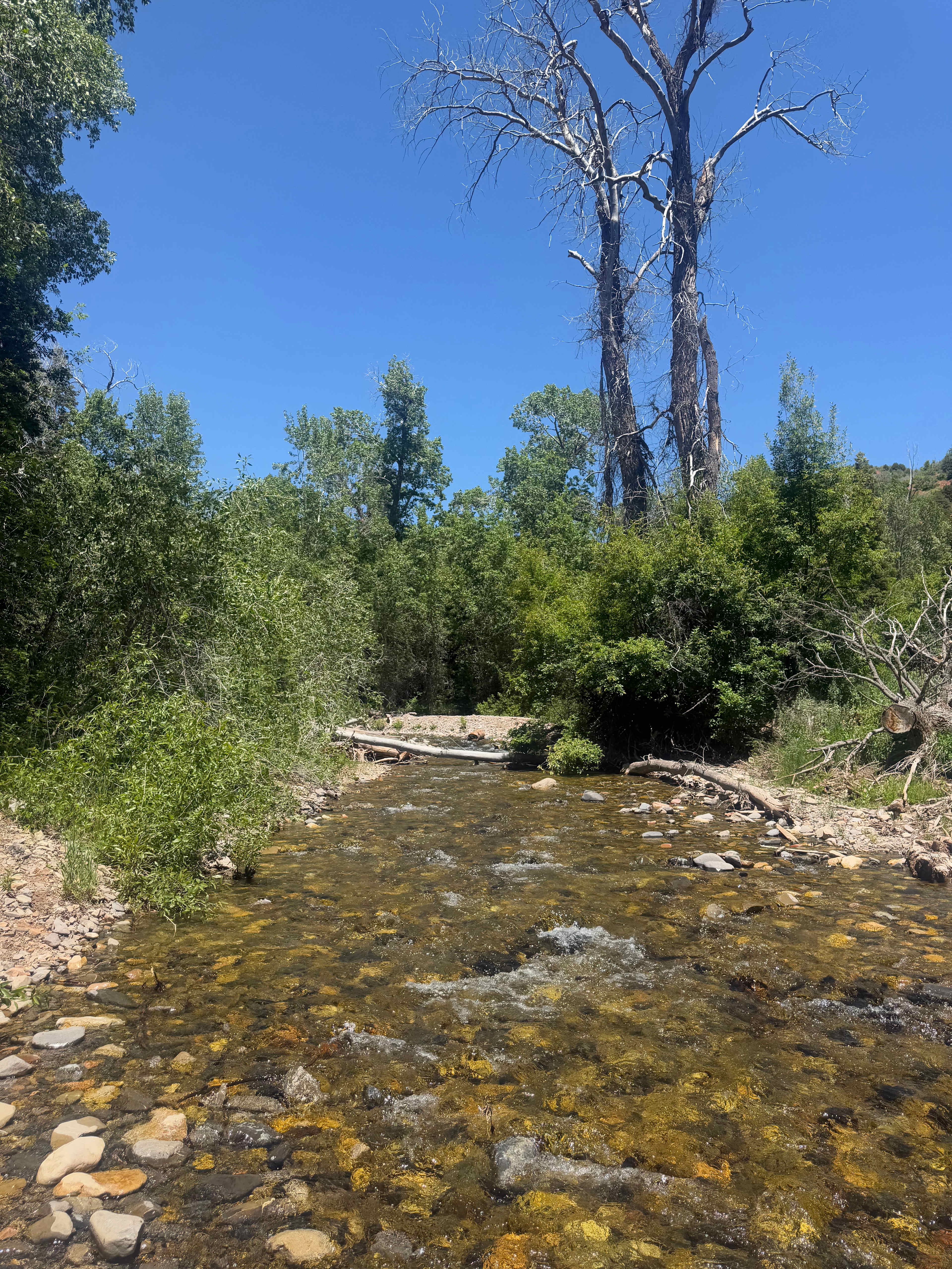 Harward Family Ranch