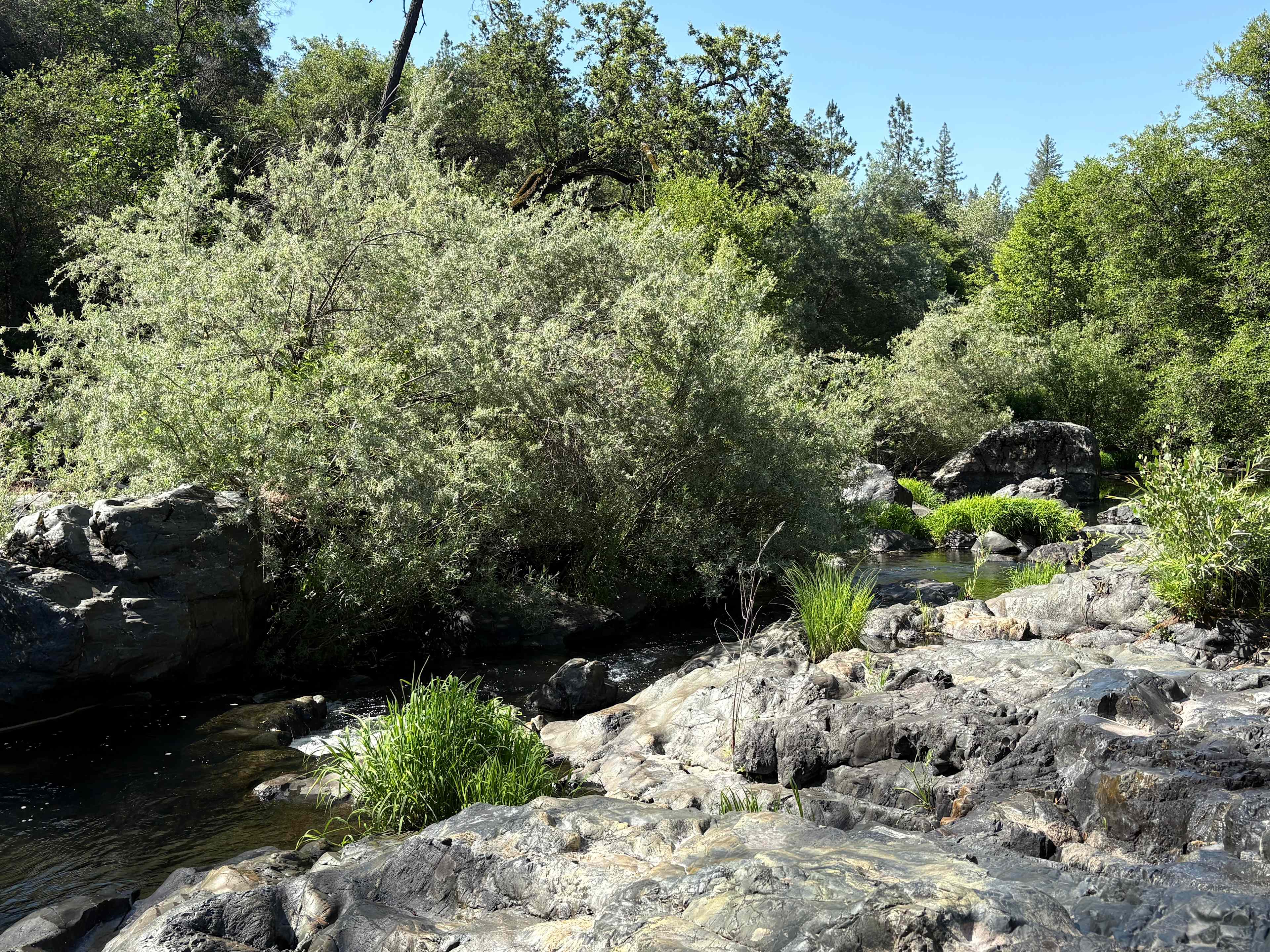 Perfect Getaway with Private Creek