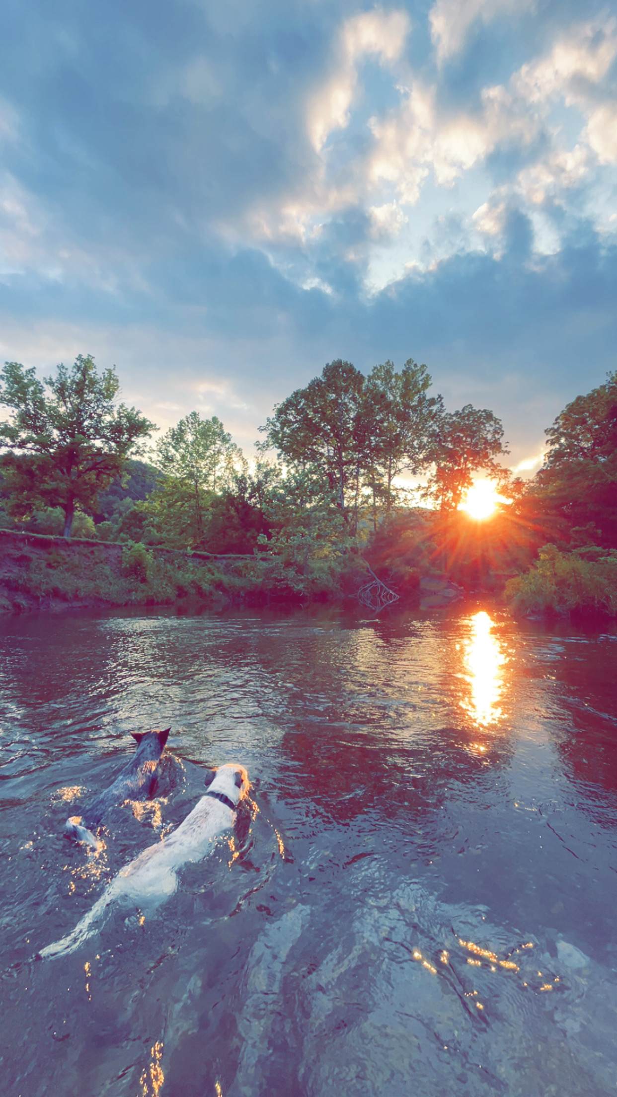 Shirley's River Retreat