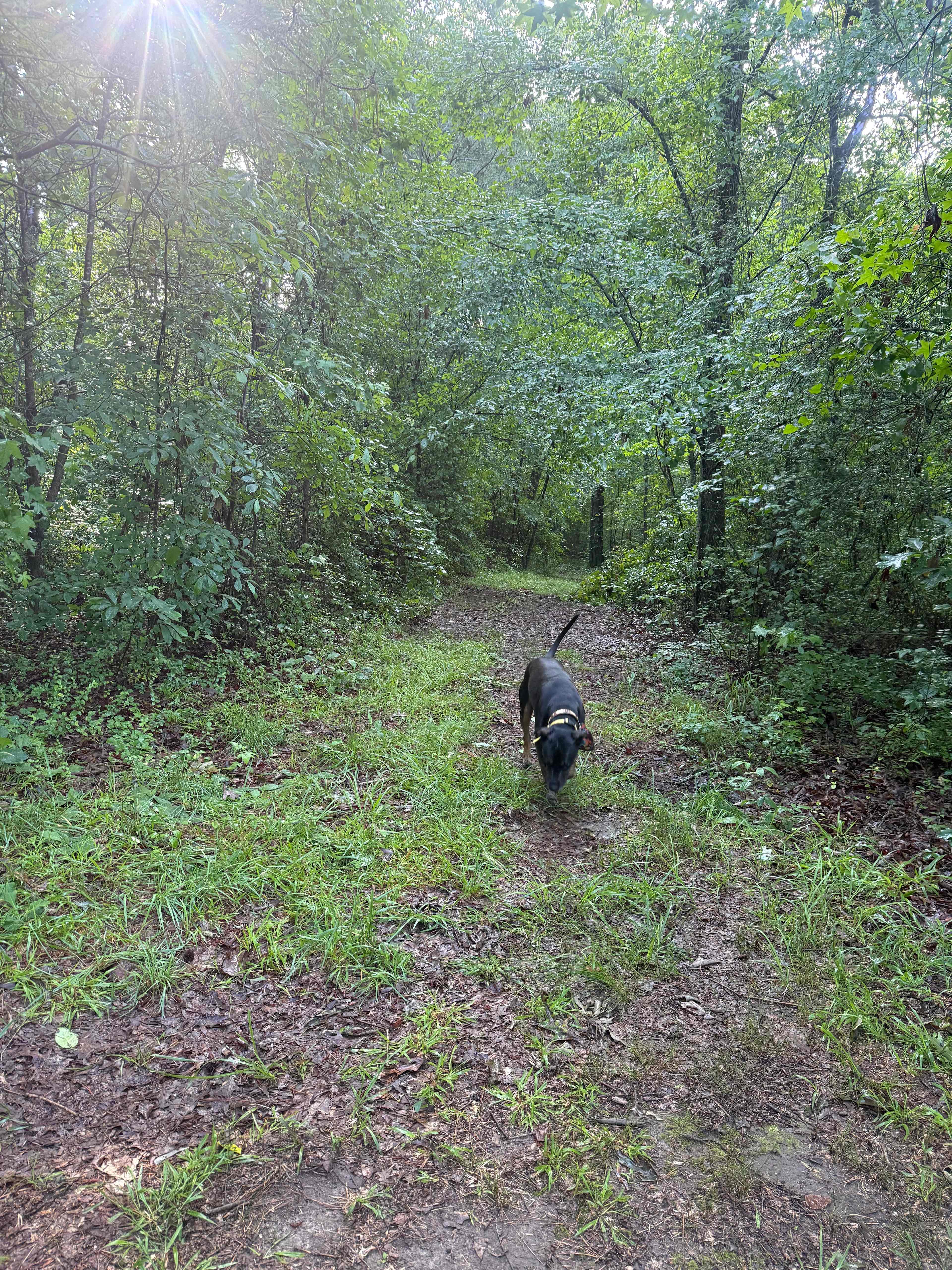Little River Adventure Company