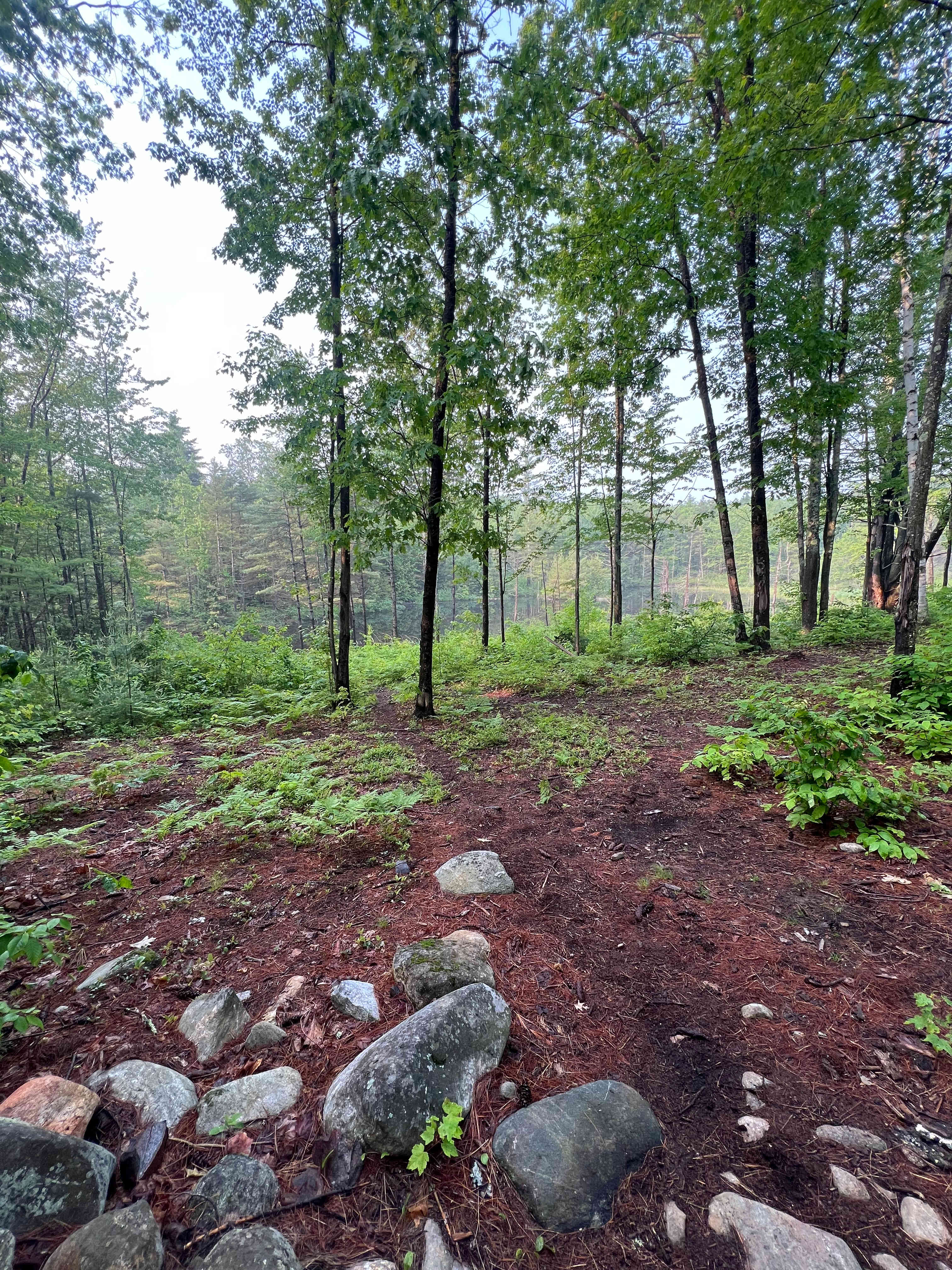 Deep Woods Hideaway