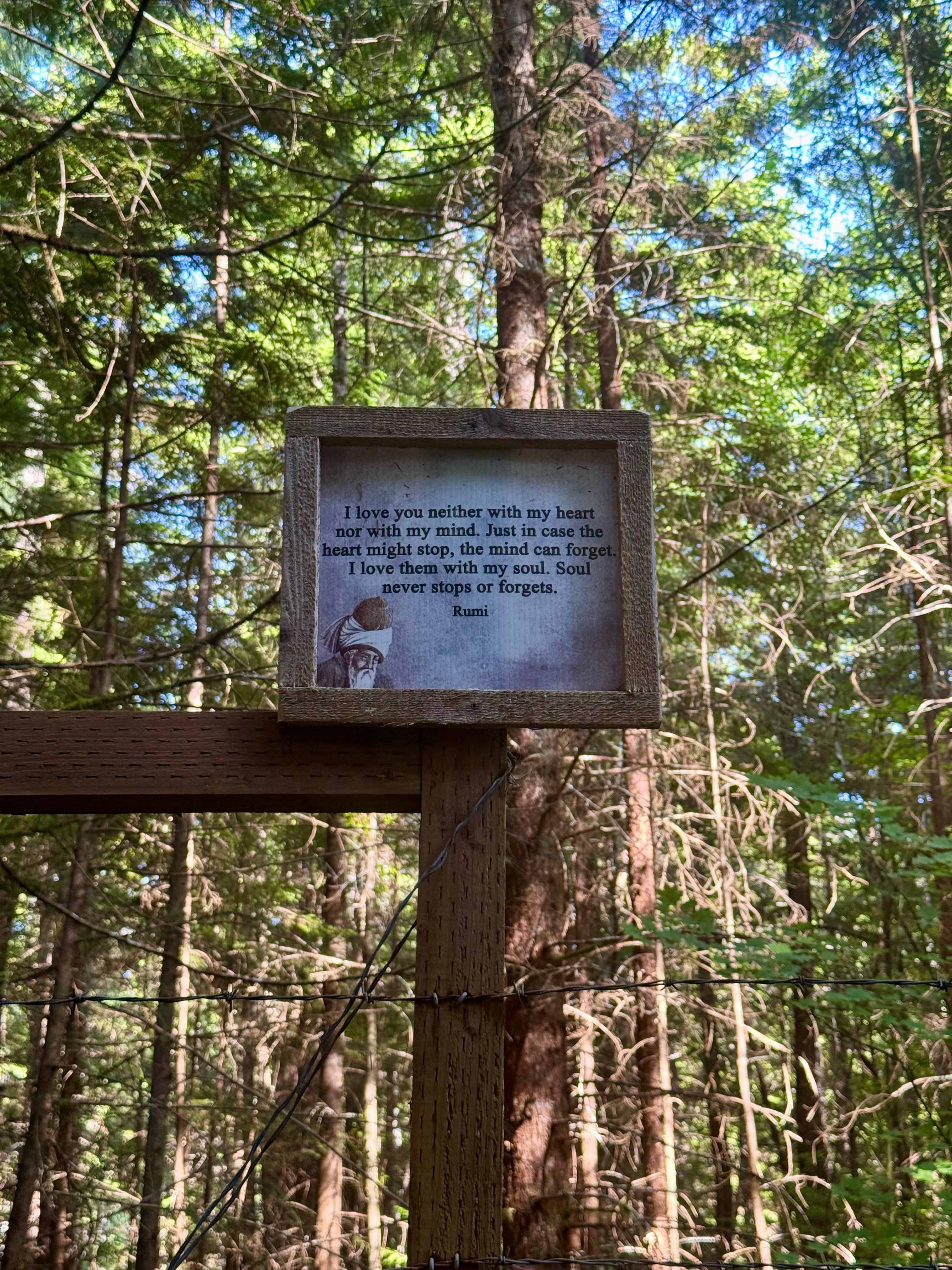 sol duc rainforest retreat