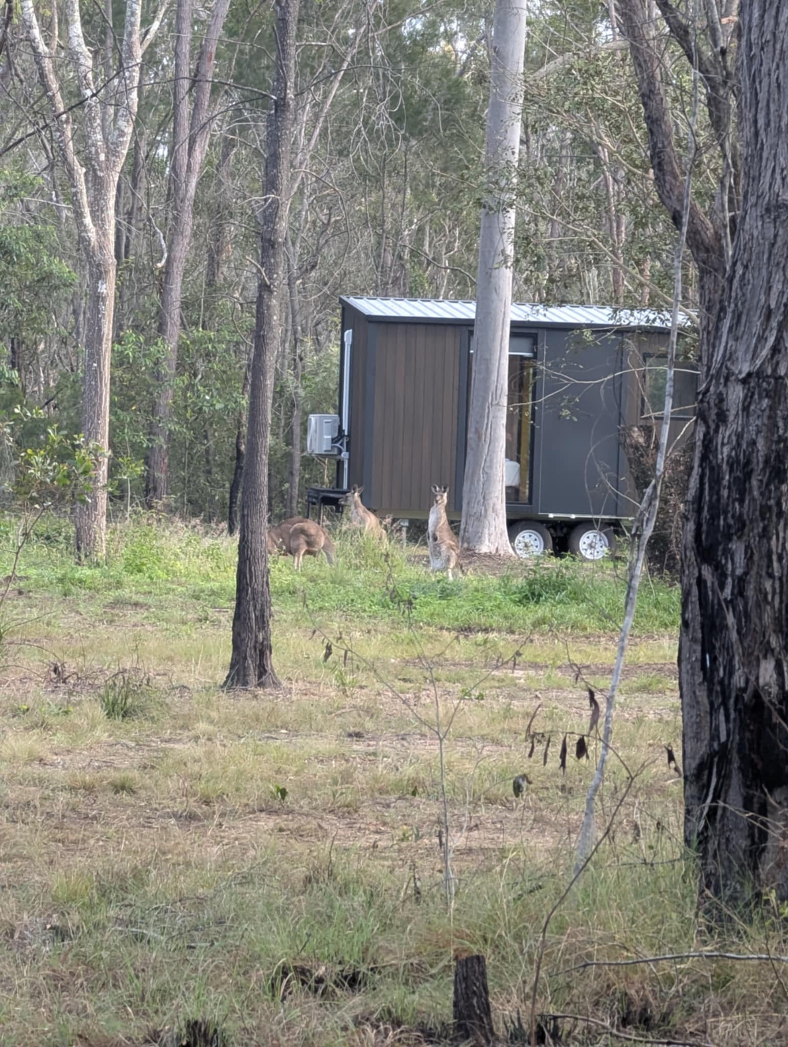 Woodlands Farmstay and Glamping