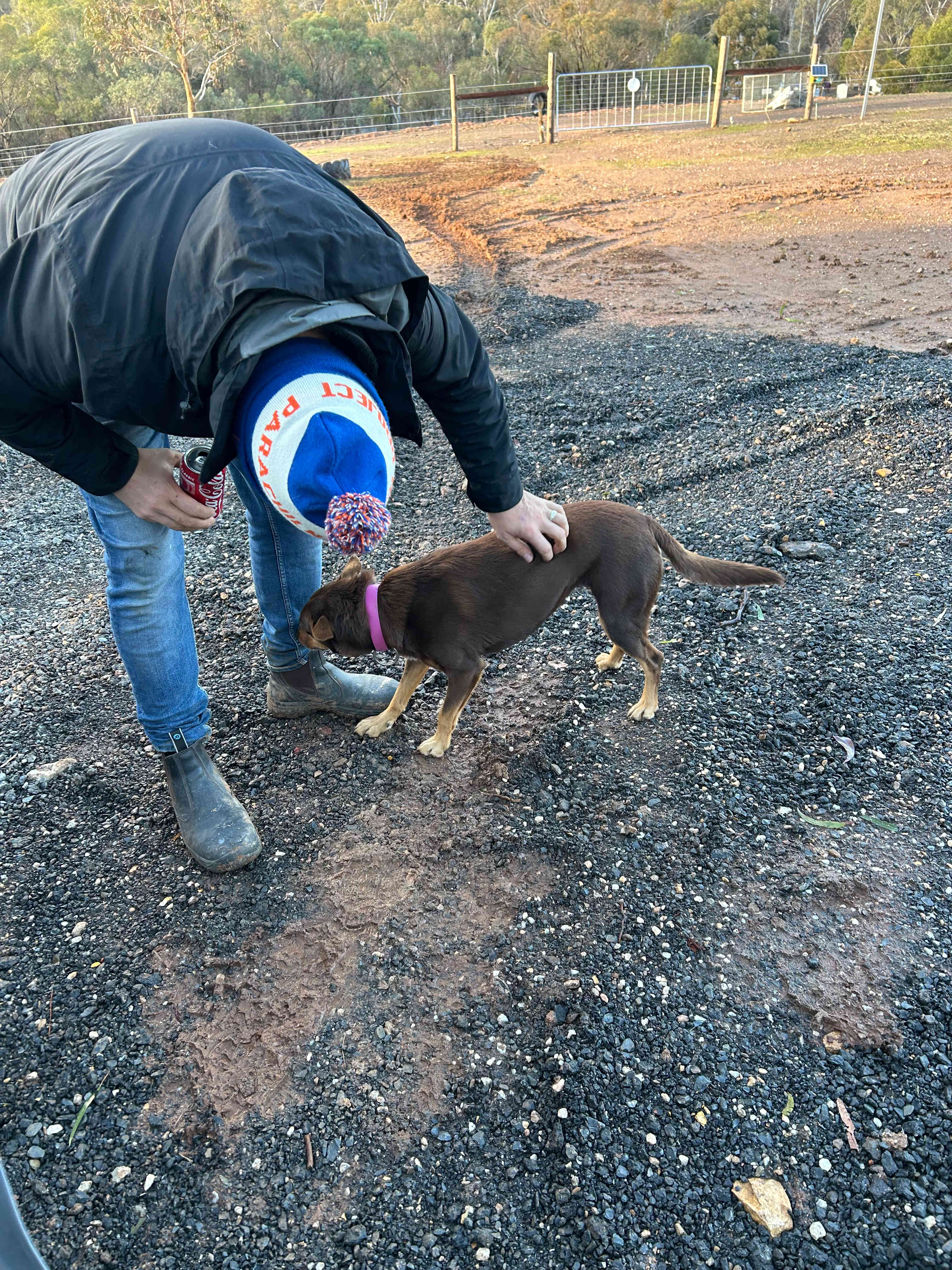 Cockatoo Valley Tiny Vacations