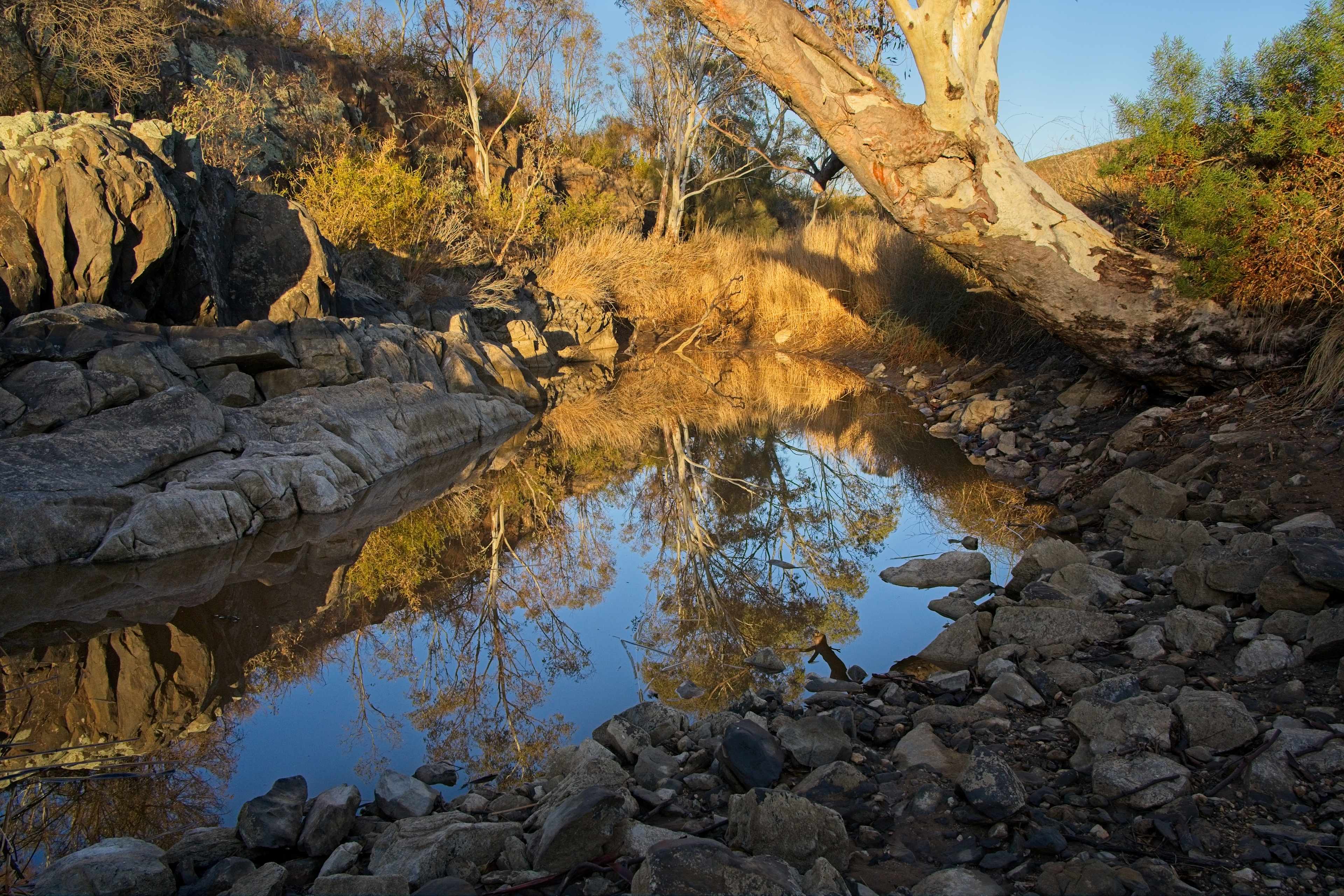 Waterhole near sricks campground.