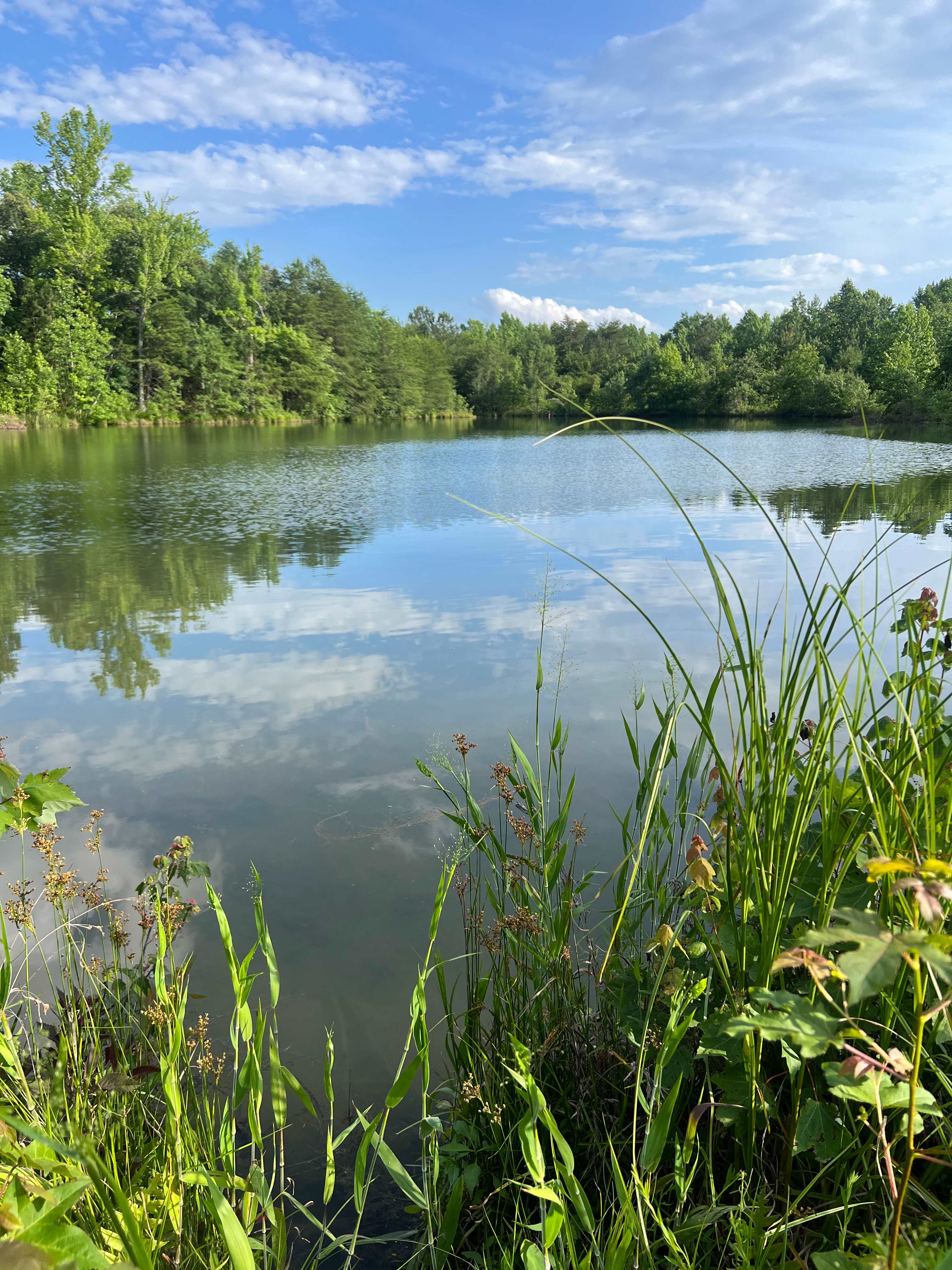 Lakeside Retreat