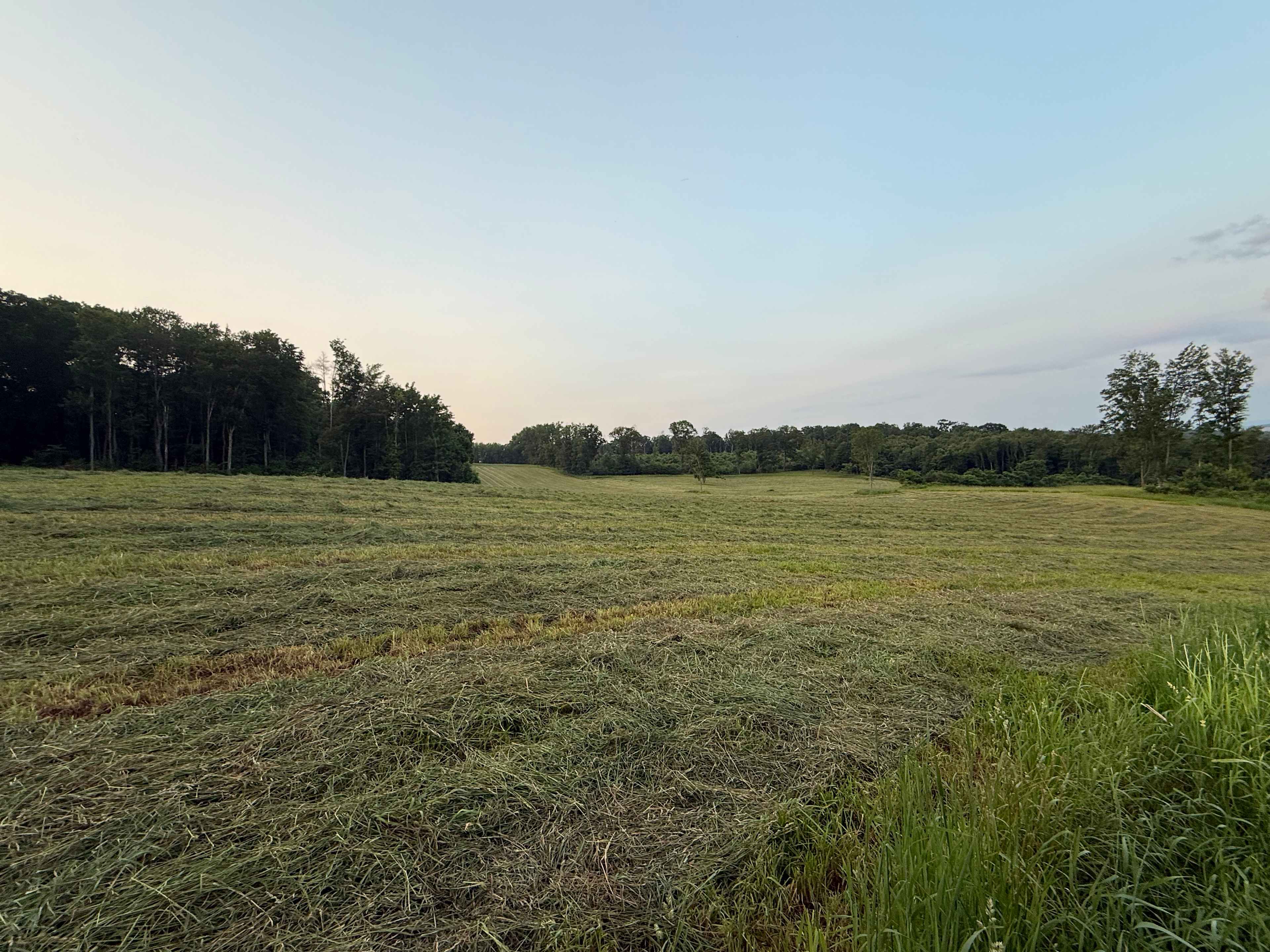 You are looking at the entrance to the 16 acre field surrounded by woods on 3 sides, you will be able pull up your camper or pitch a tent on any part.