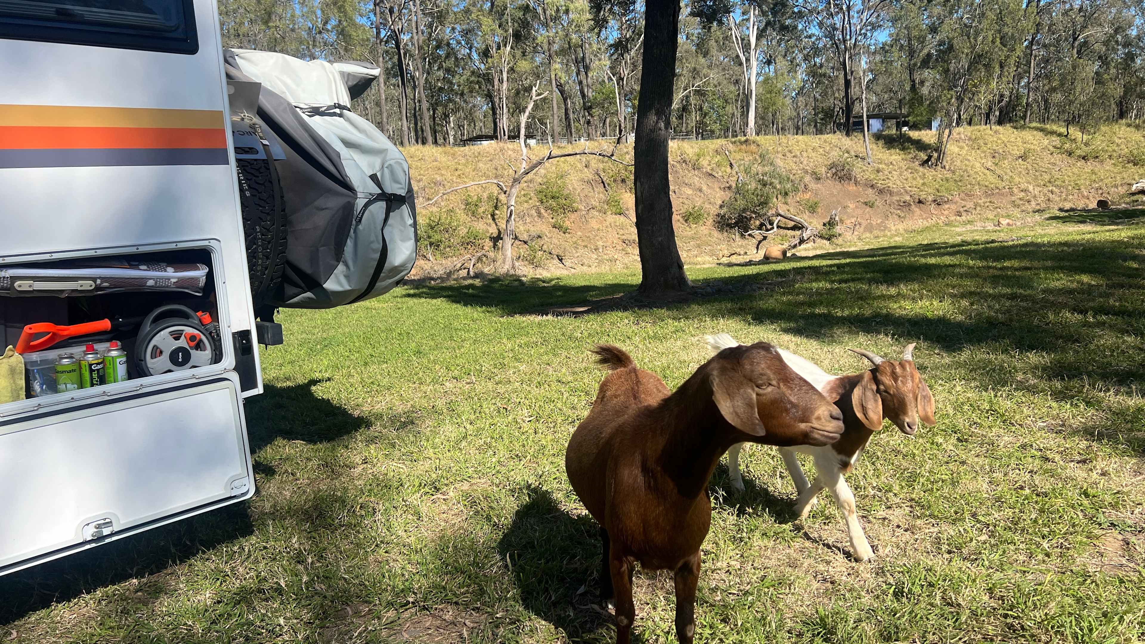 Rocky Creek Homestead
