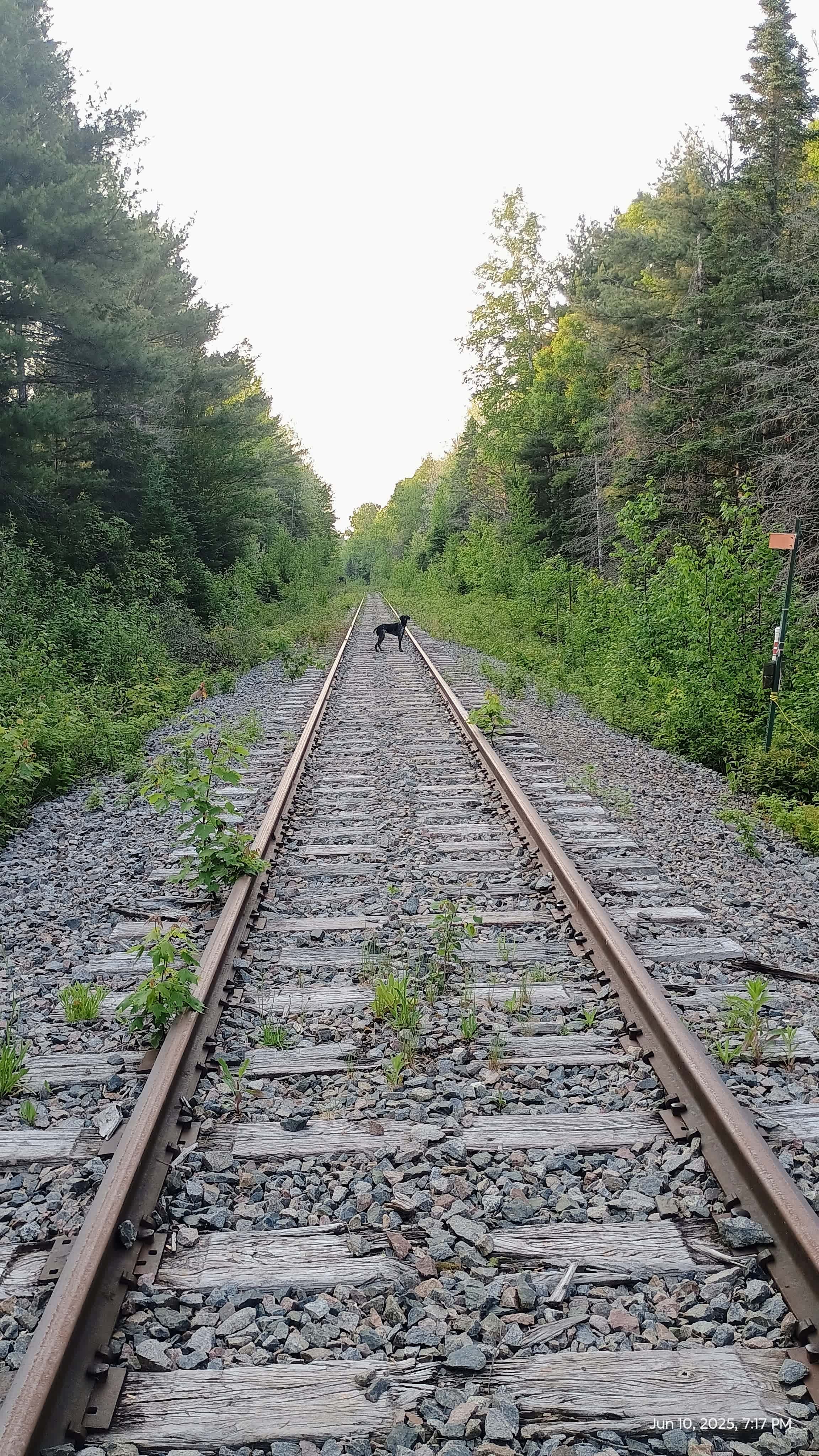 Bad River Wilderness