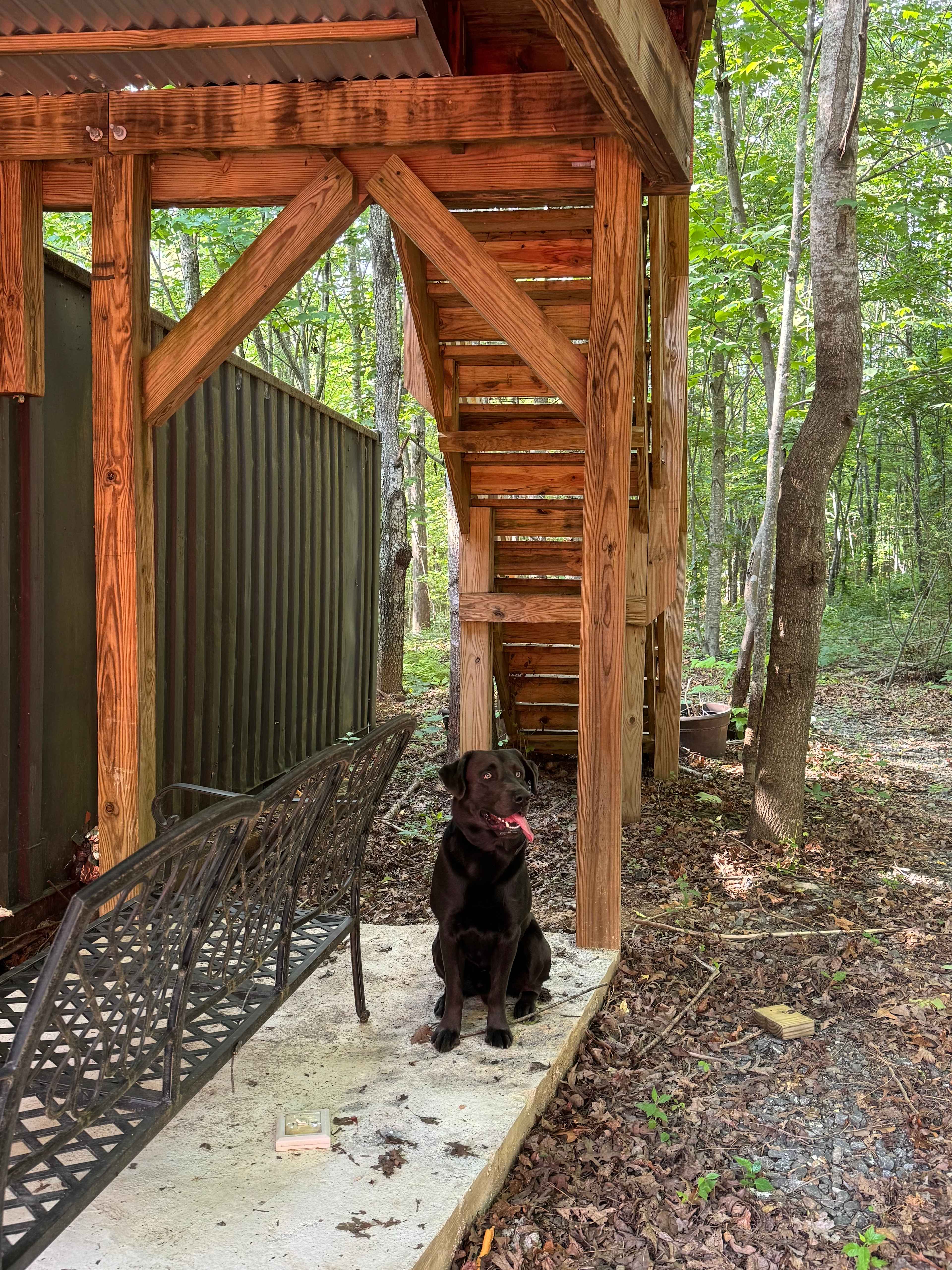 AVL Treetop Camping Tent Site 🏕️