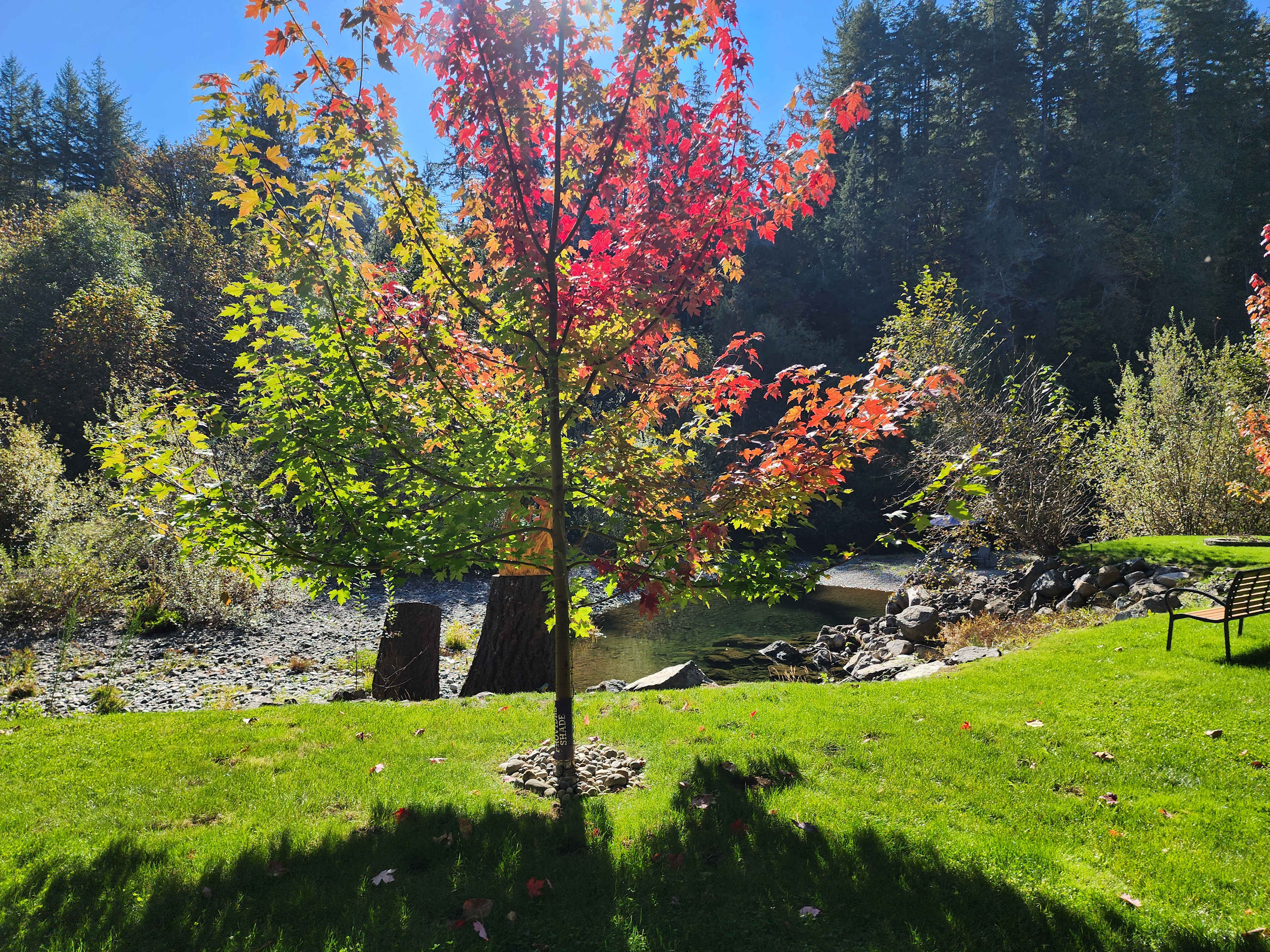 Tahuya River Lodge Campground