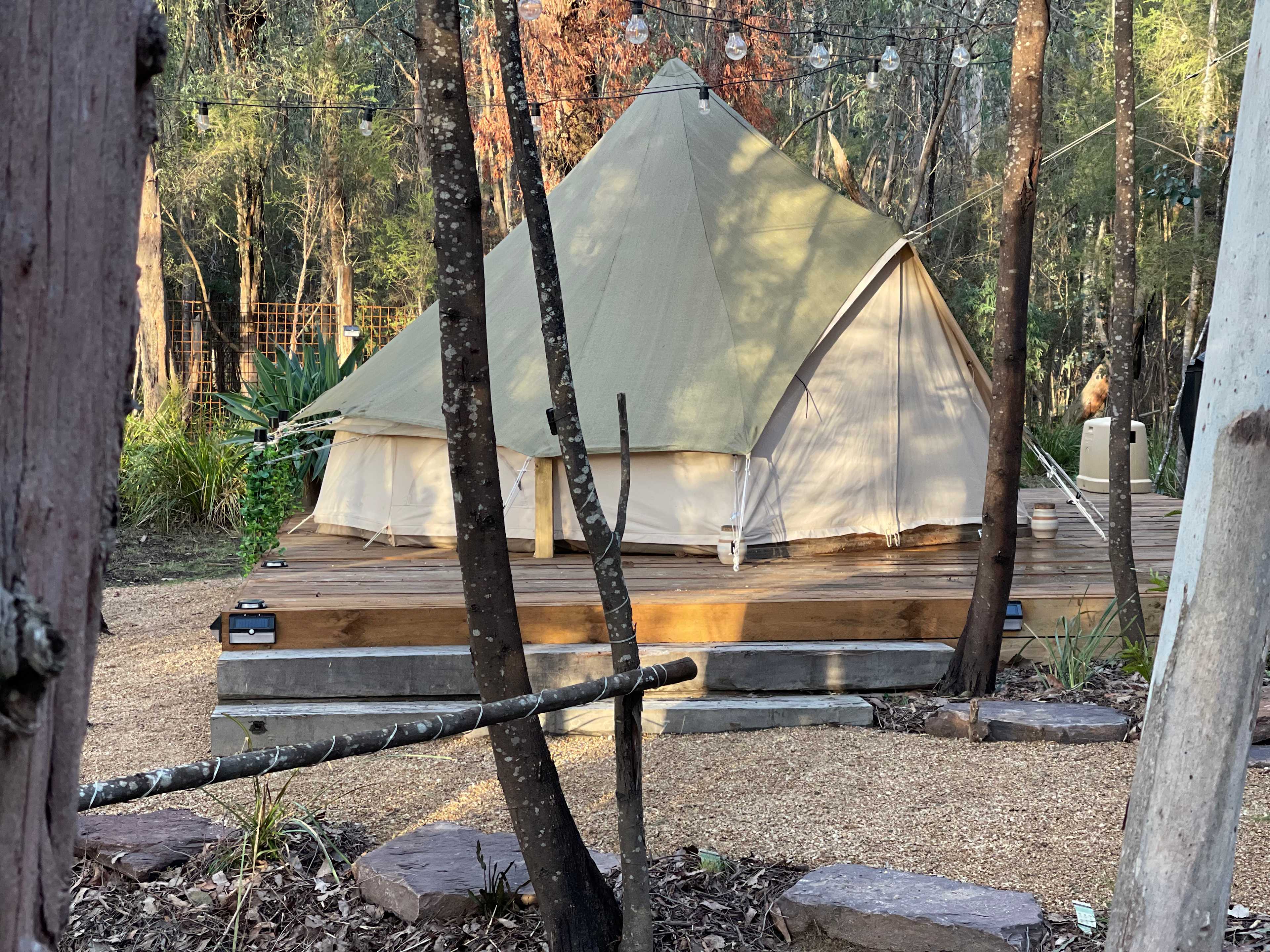 Galea Ranch