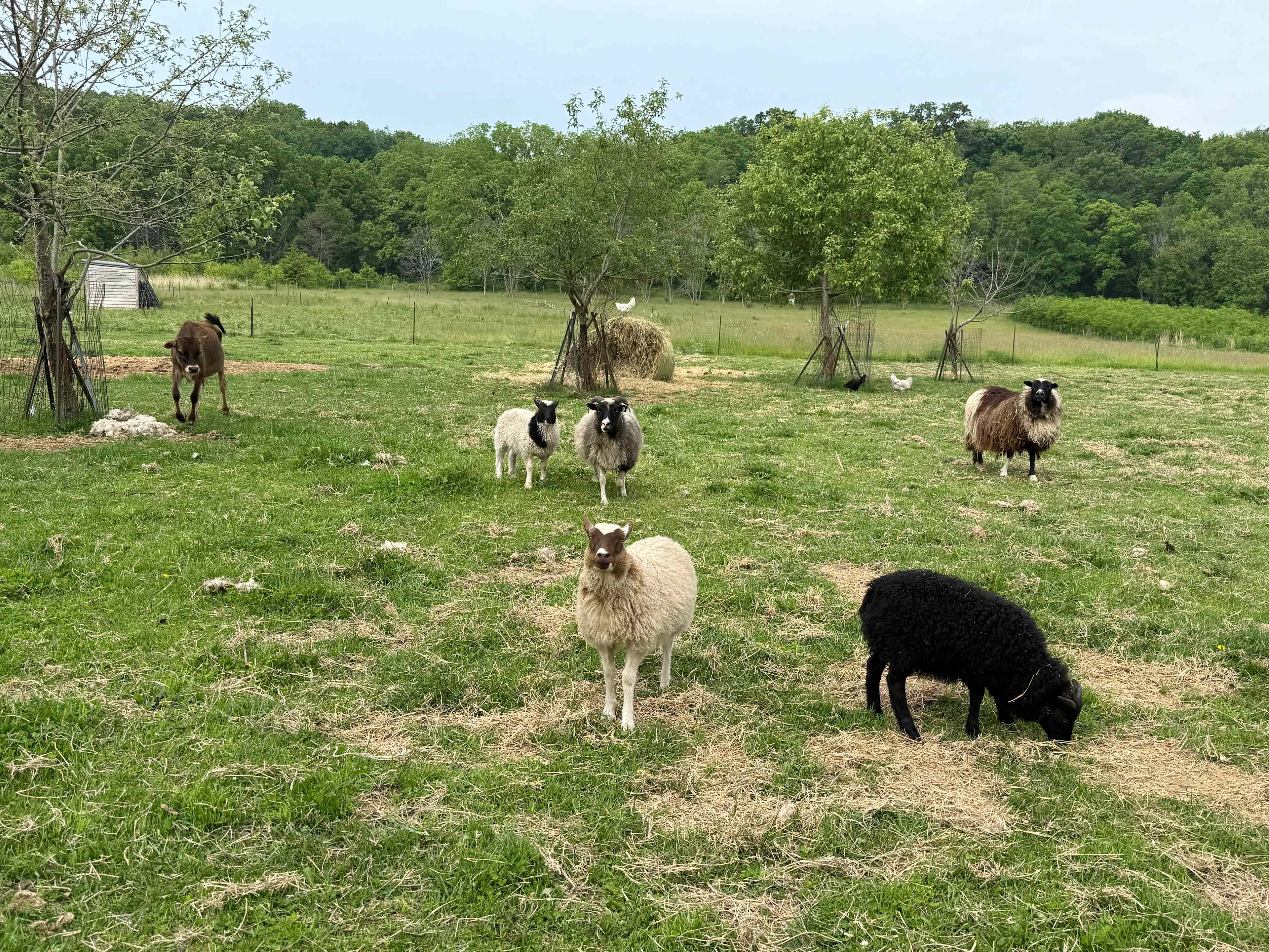 Driftless Farm-Stay at Pink River