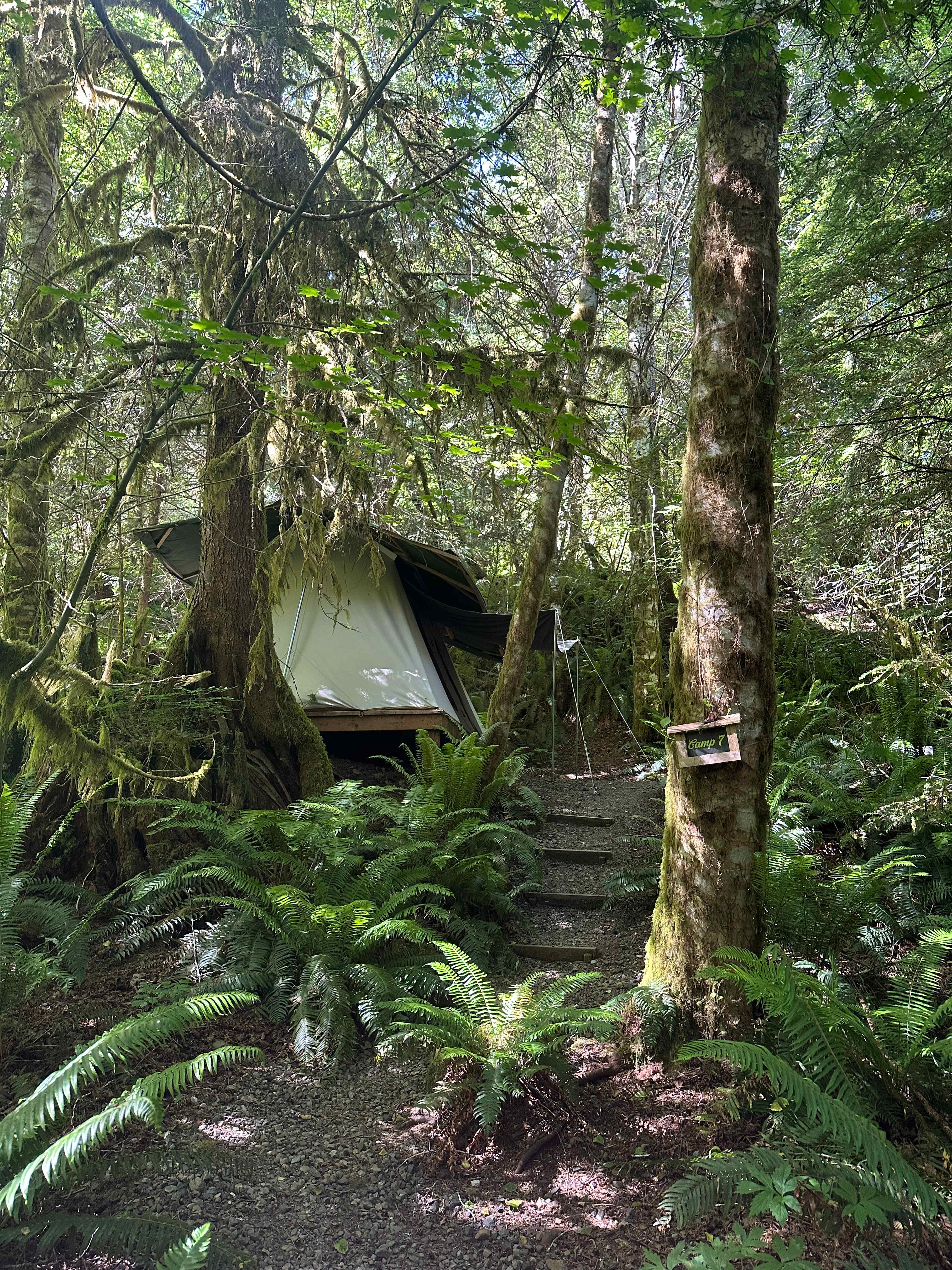 sol duc rainforest retreat