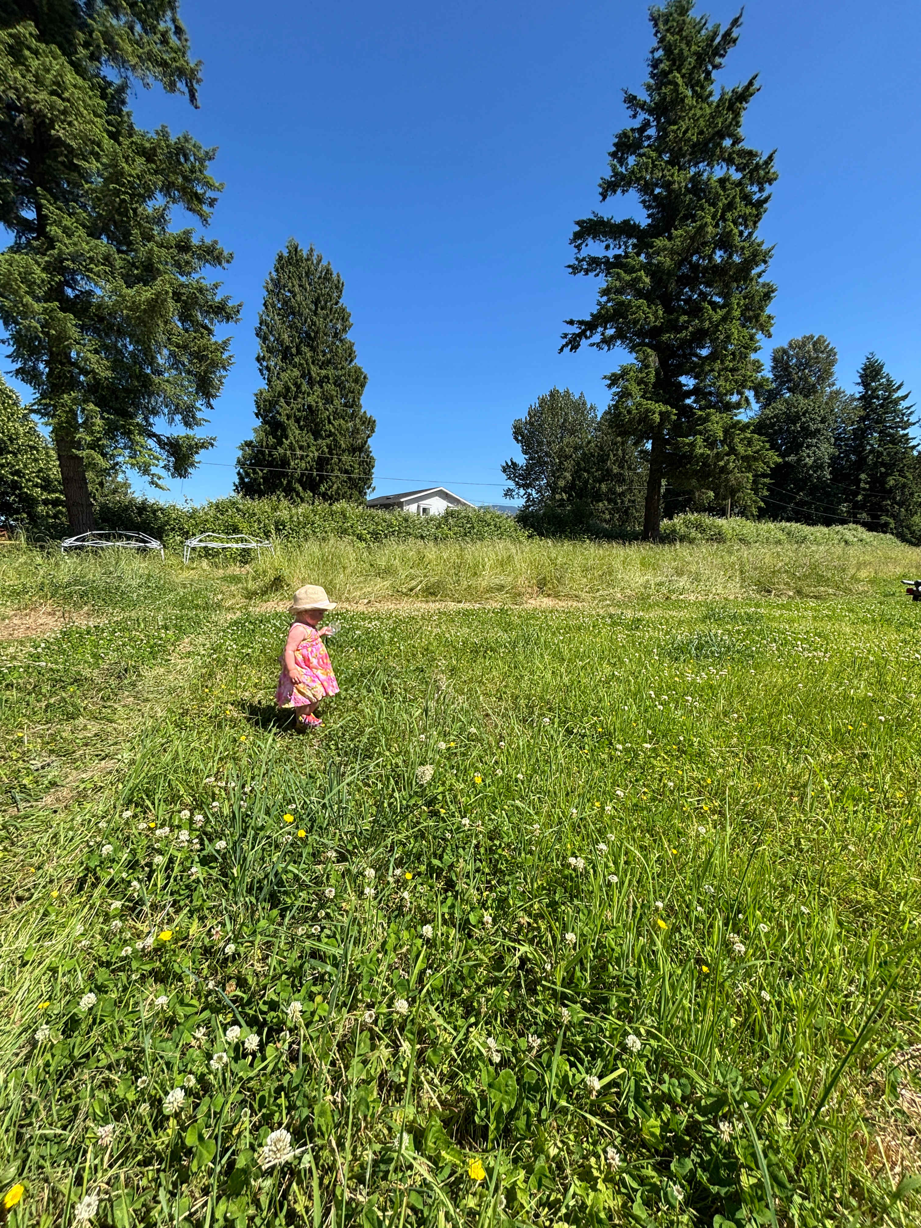 Hatzic Island Acres