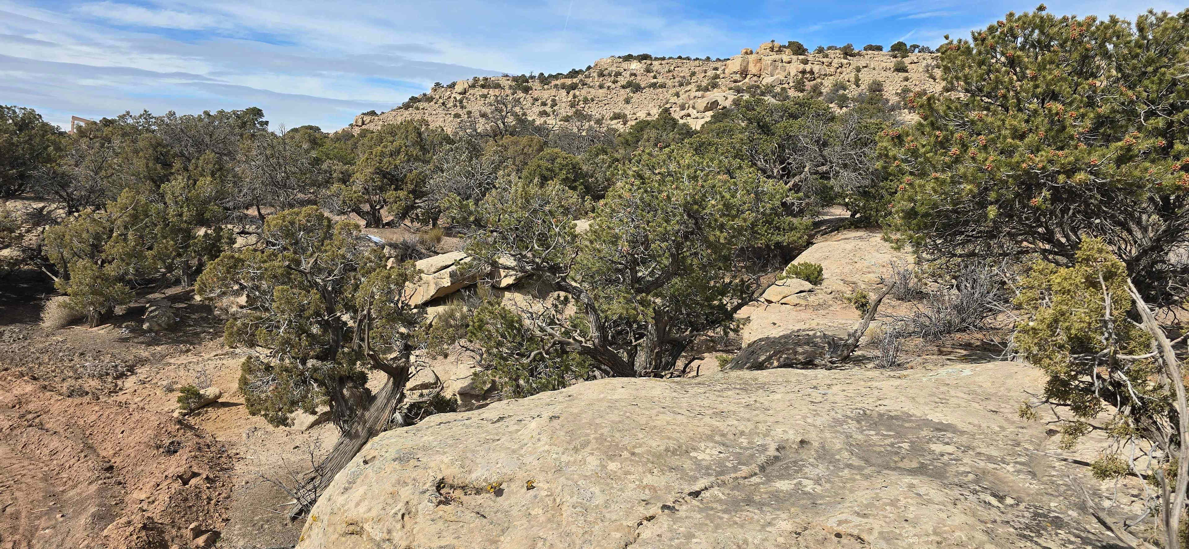 Wild Wolf Ridge
