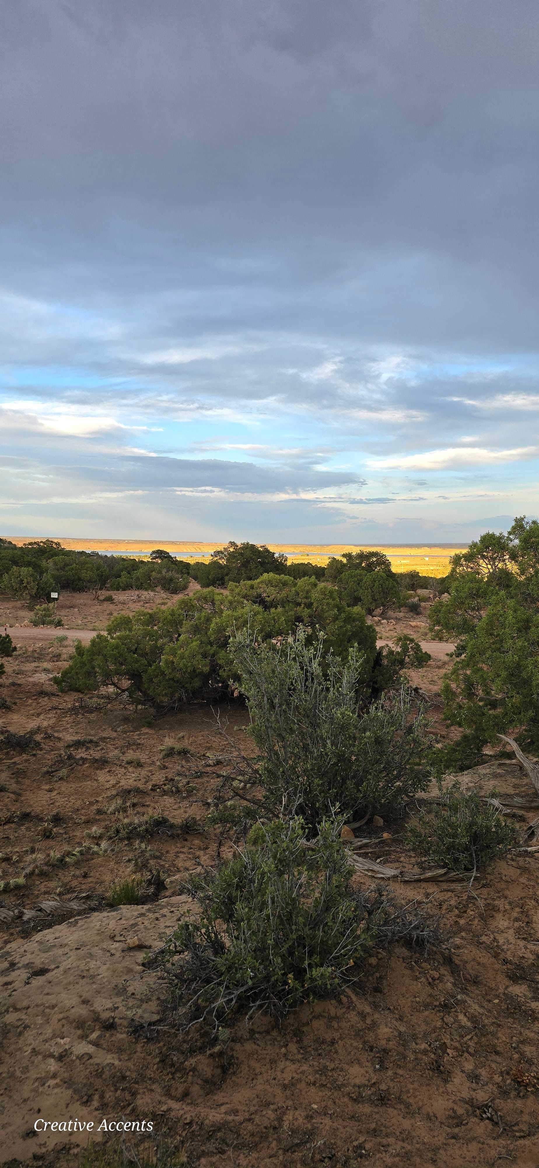 Wild Wolf Ridge