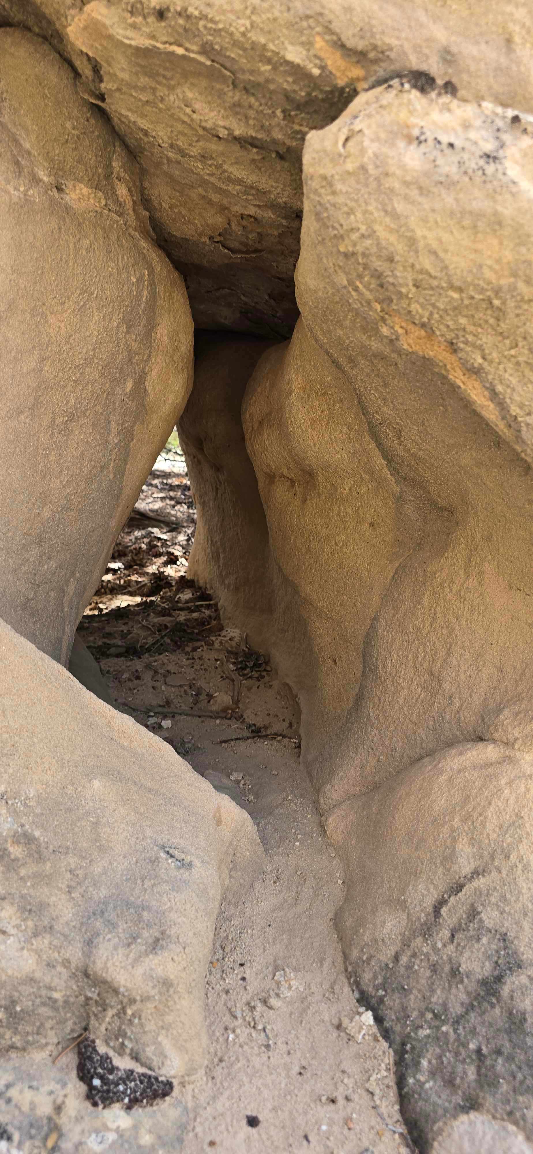 Wild Wolf Ridge